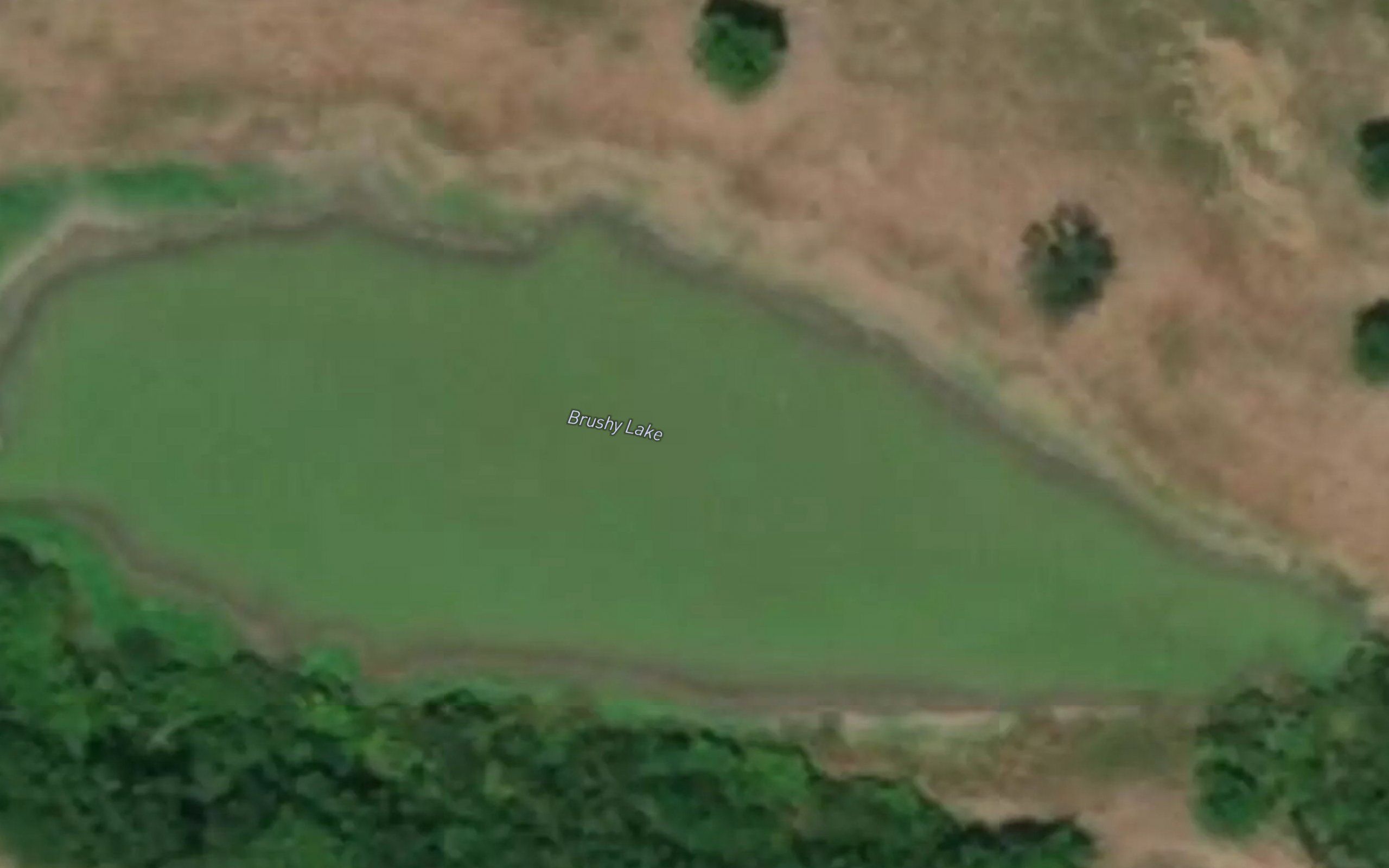 Brushy Lake