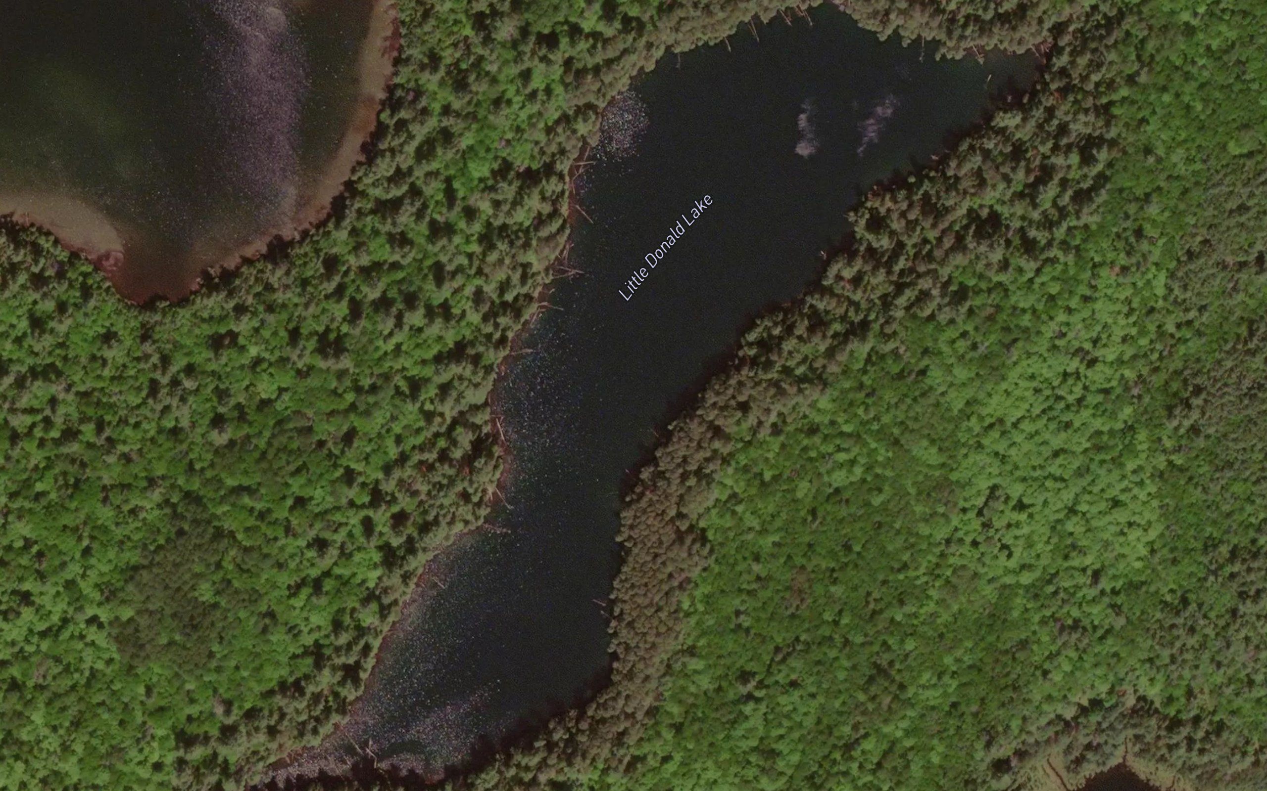 Little Donald Lake
