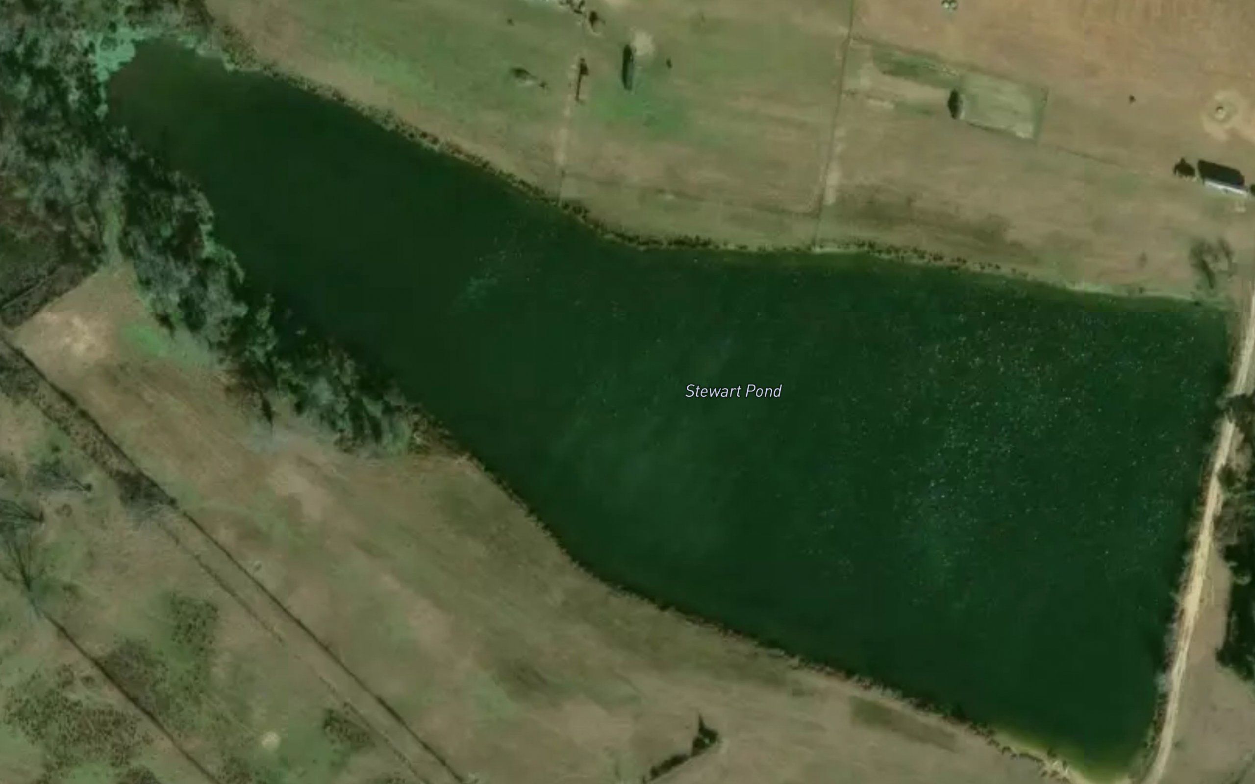 Stewart Pond