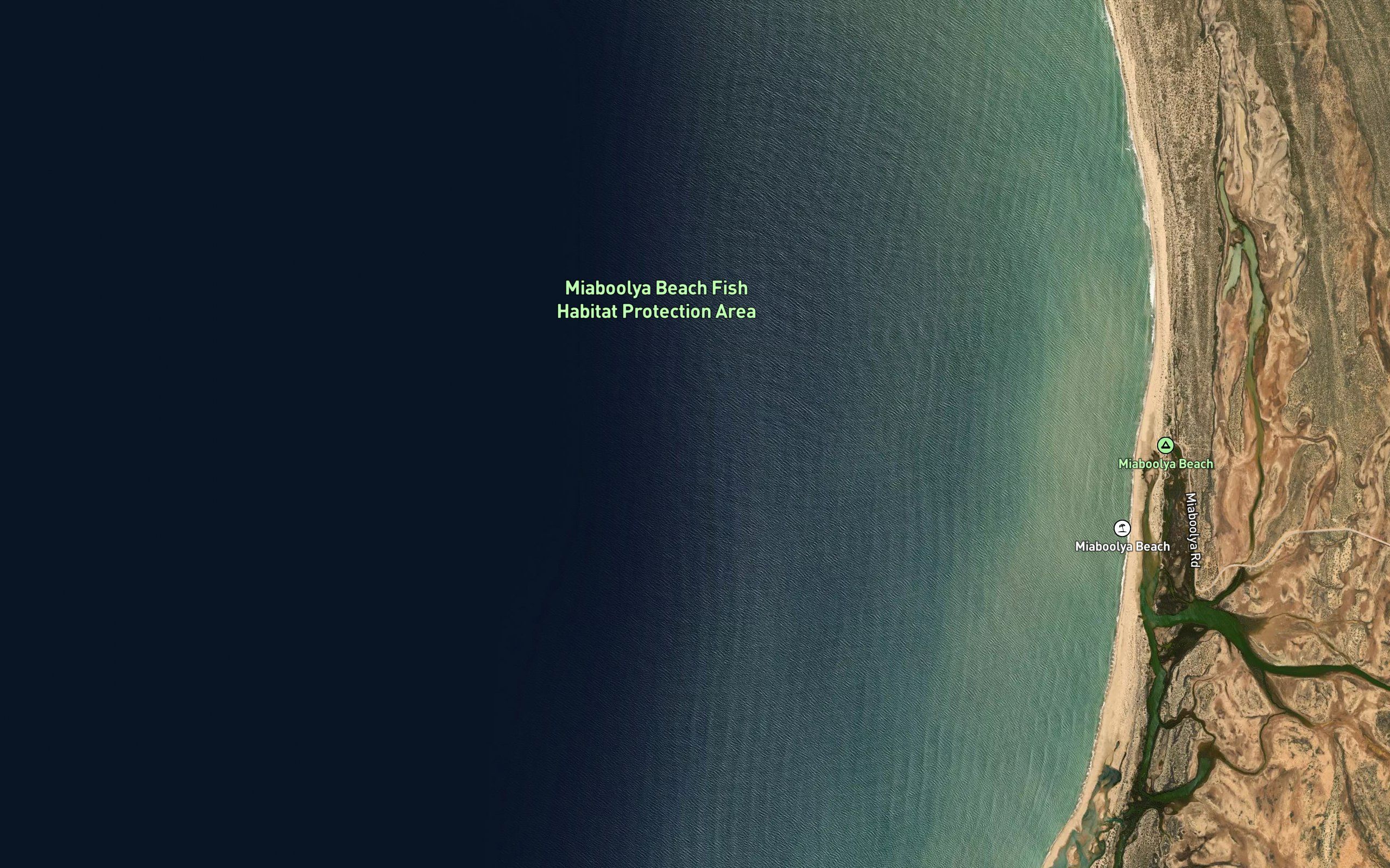 Blowfish Banks