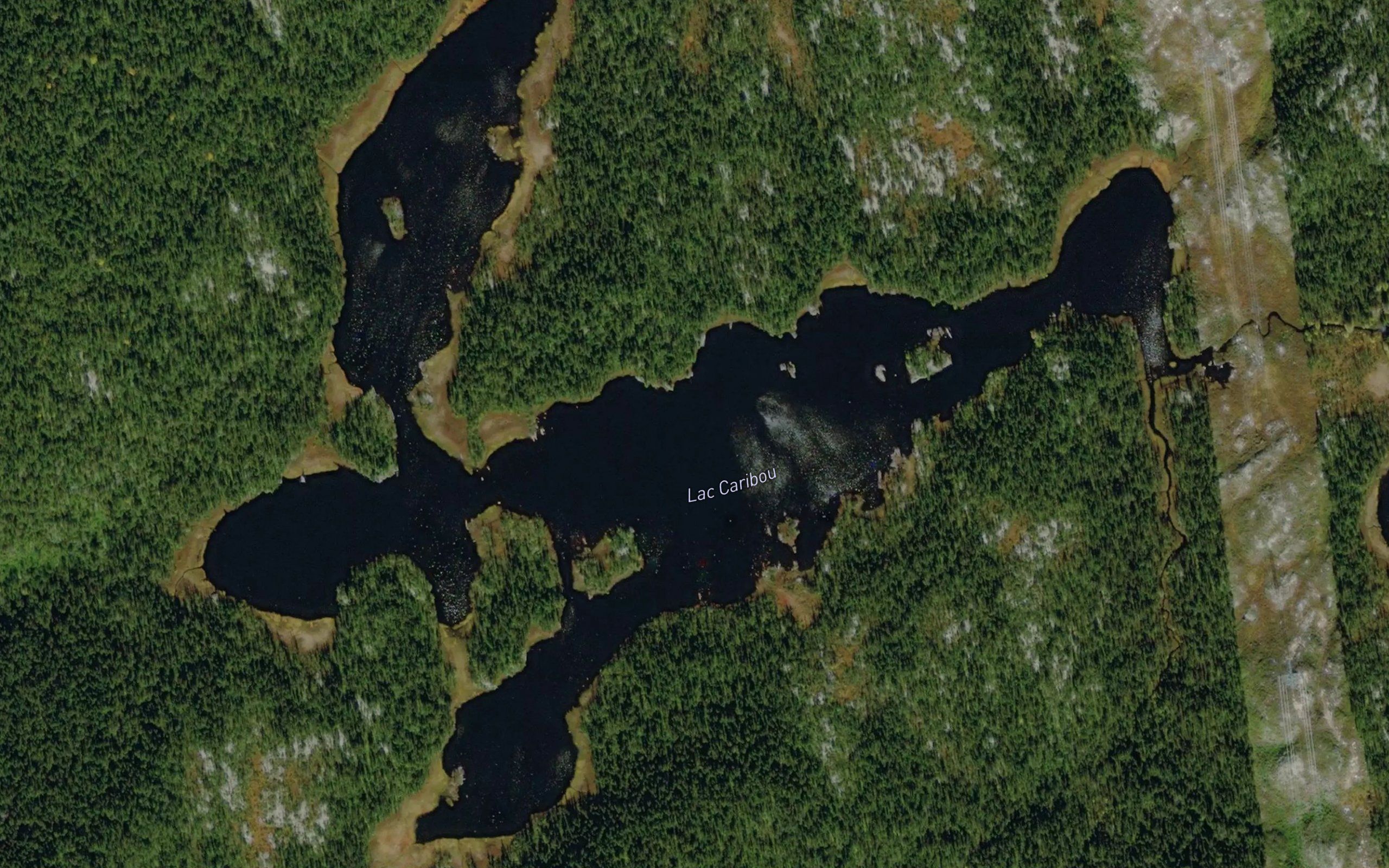 Lac Caribou