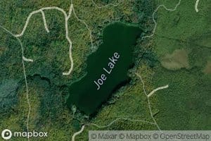 Joe Lake