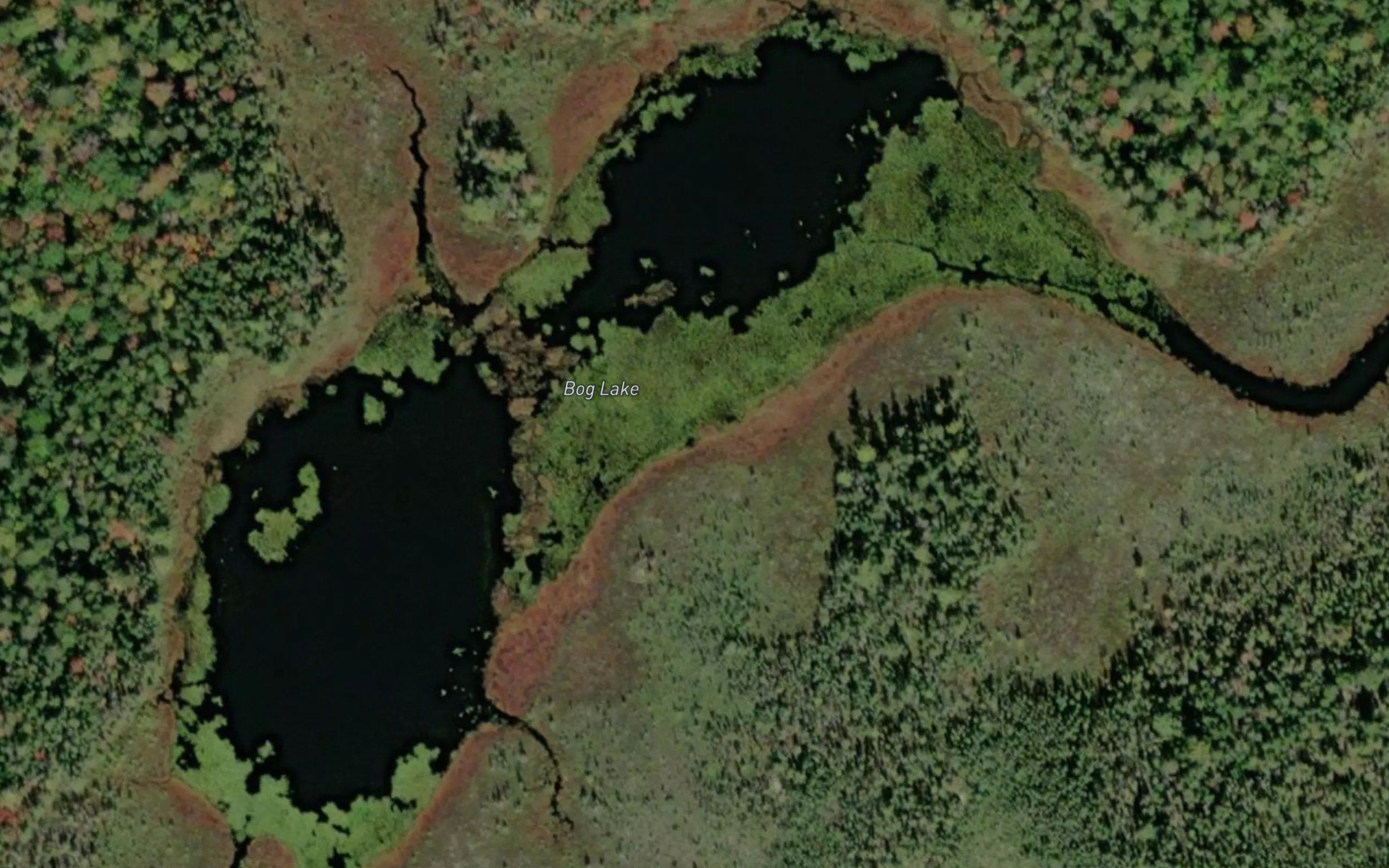 Bog Lake