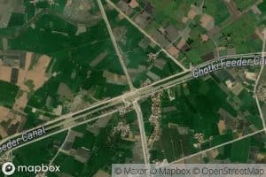 Qadirpur Minor Shakh Number One