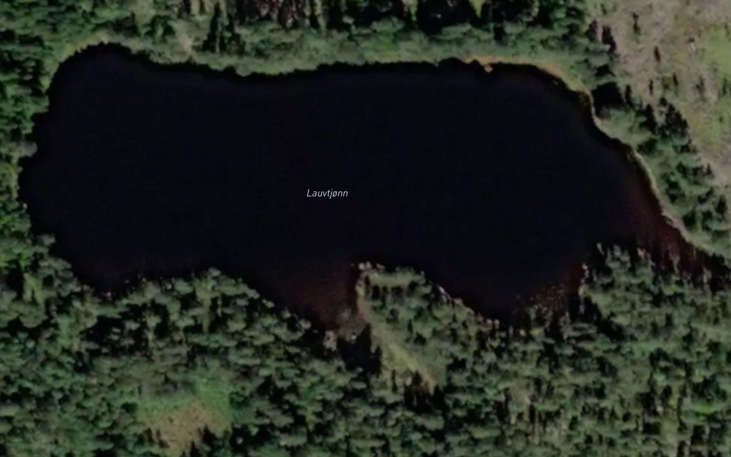 Lauvtjonn