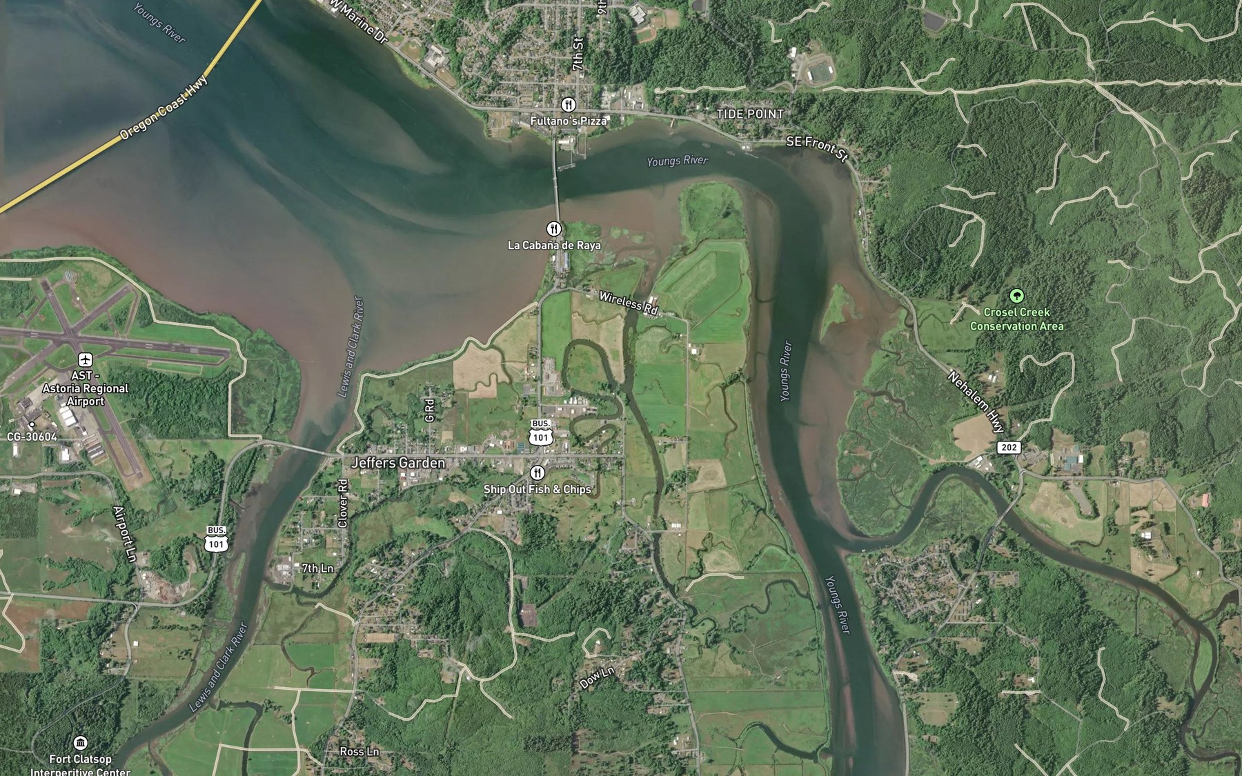 Satellite map of the Knowland Slough