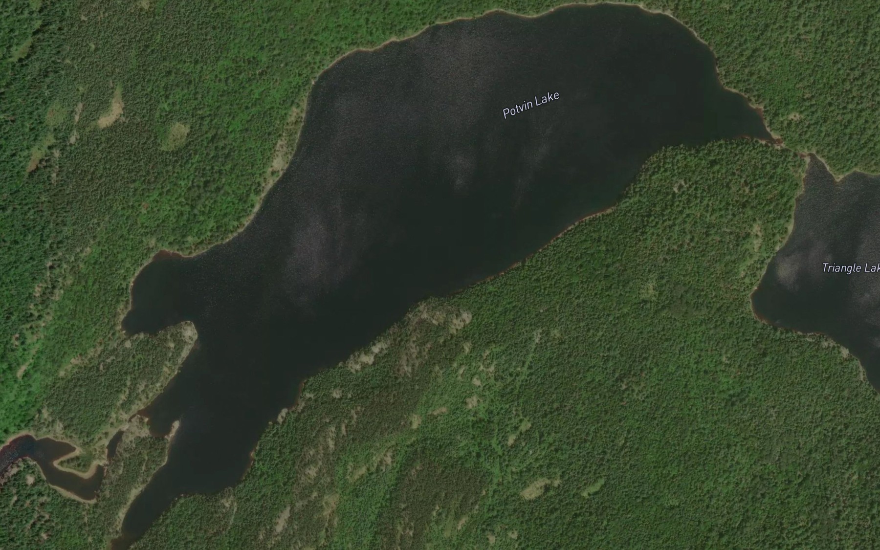 Satellite map of the Potvin Lake