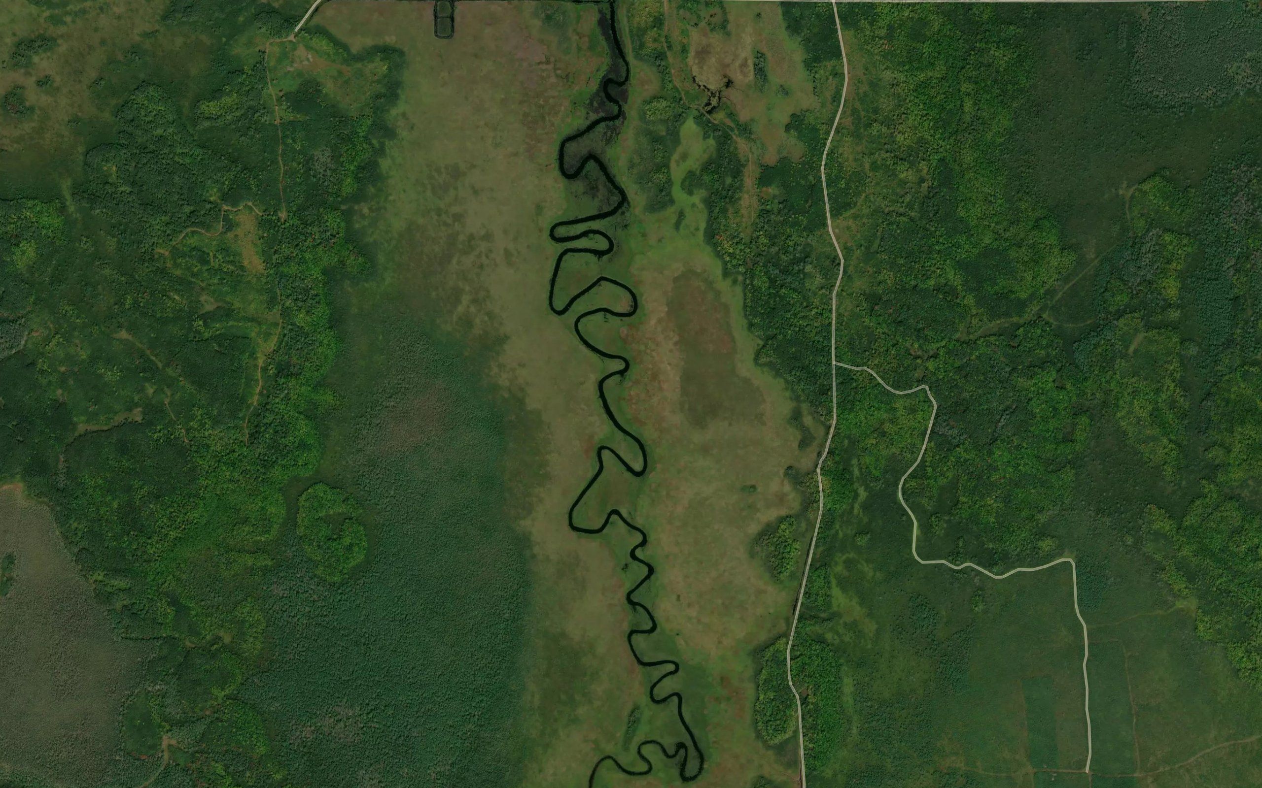 Moose River Pool