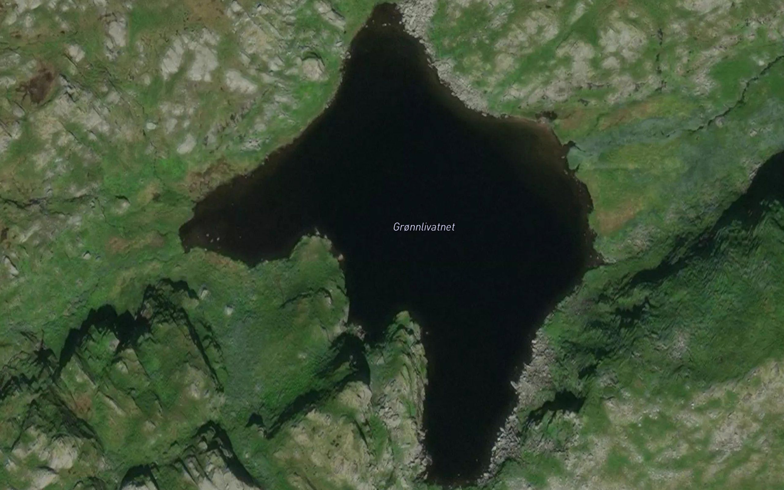 Gronlivatnet