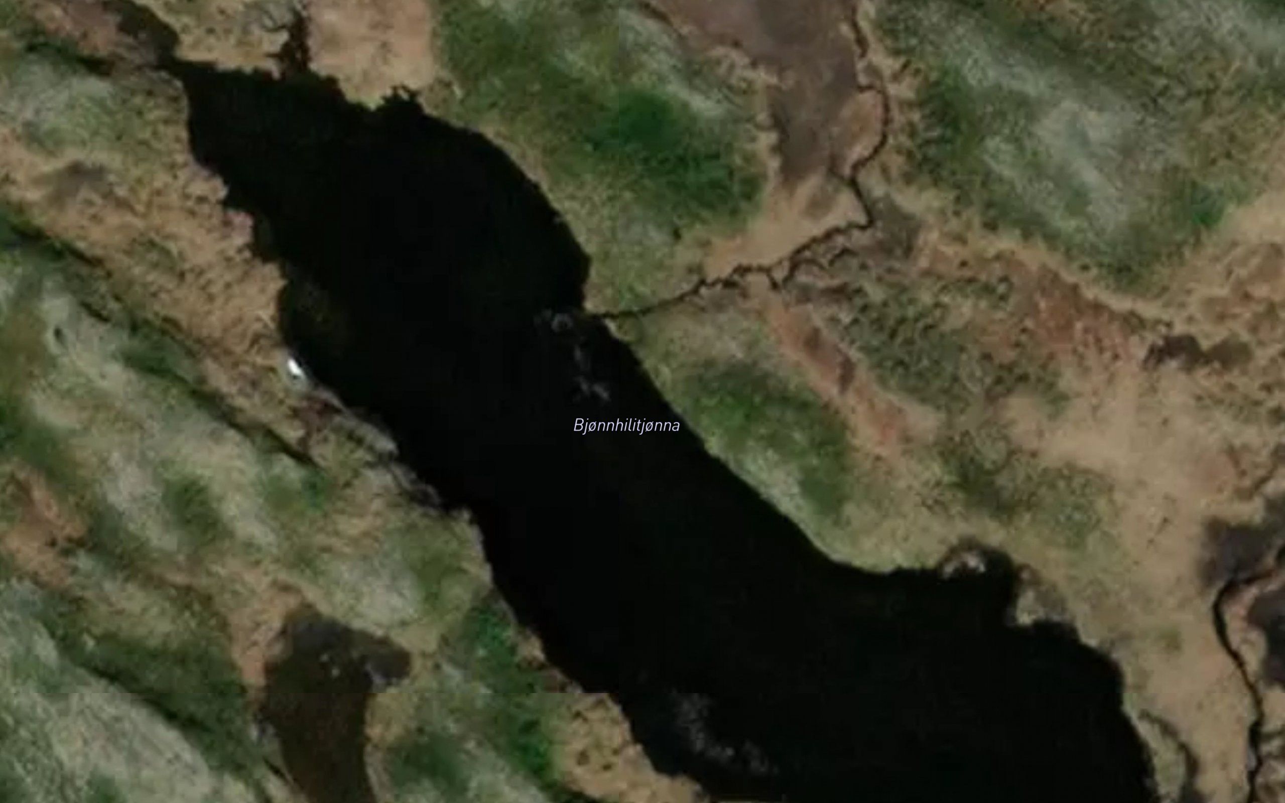 Bjonnhilitjonna