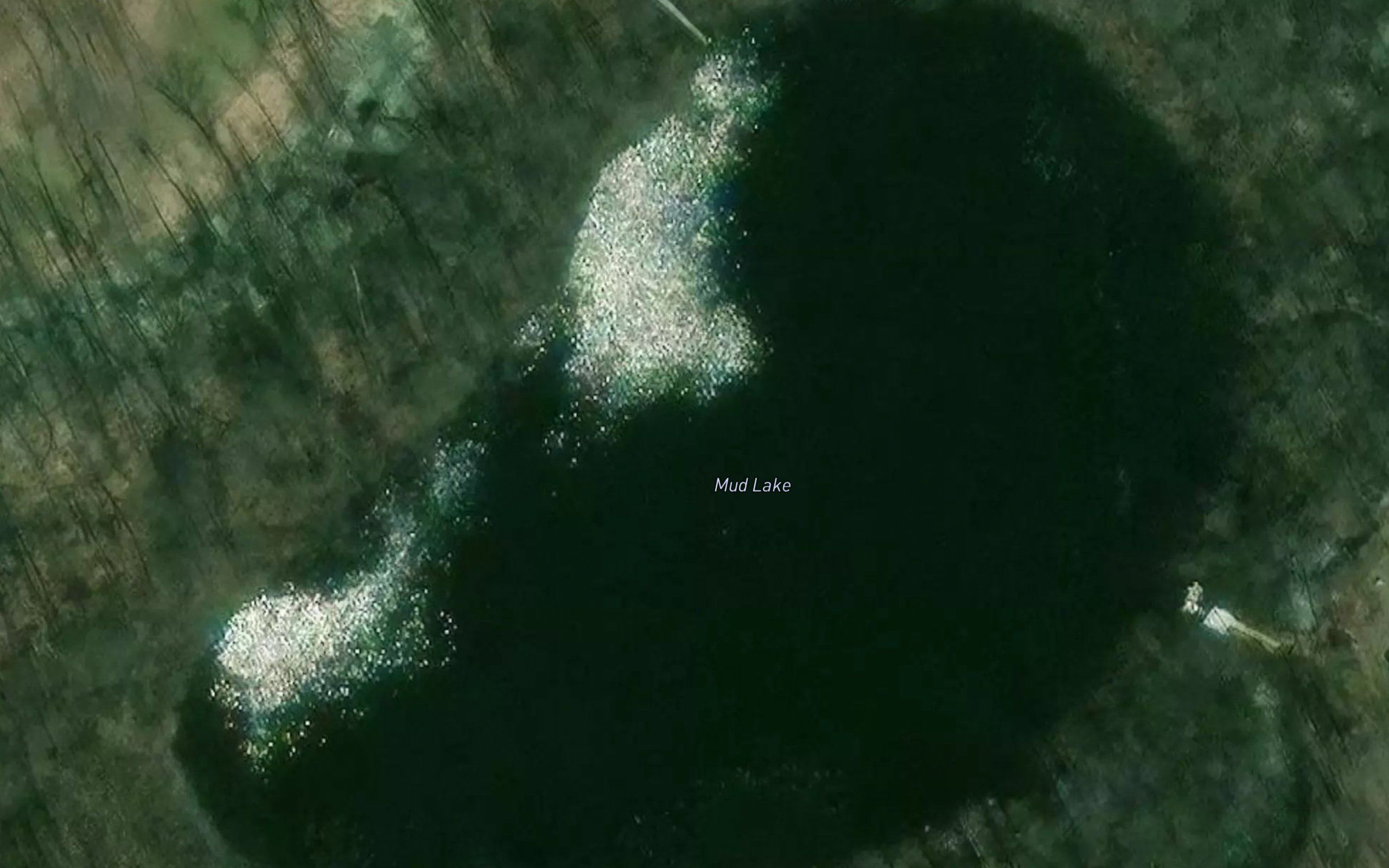 Mud Lake