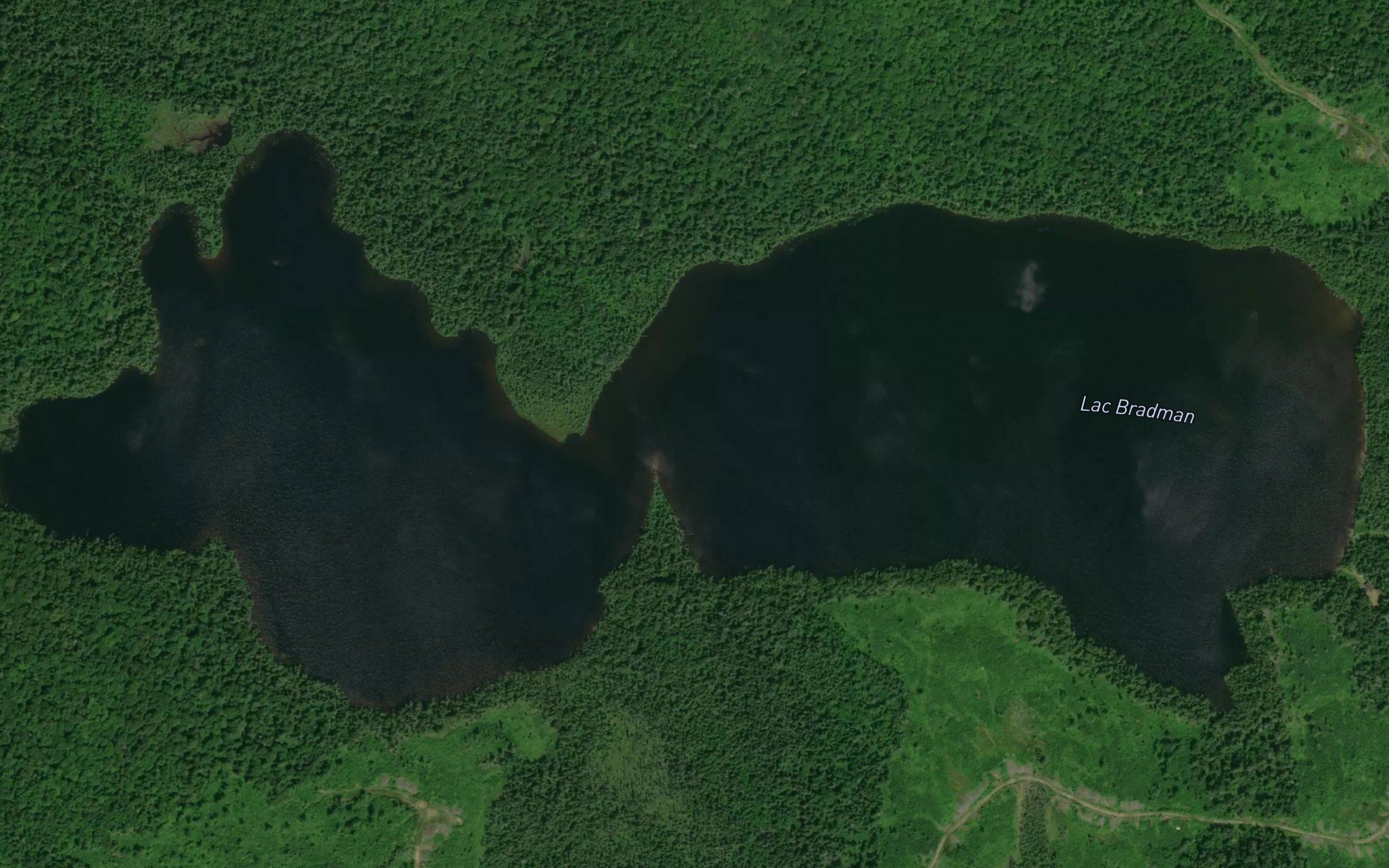 Lac Bradman