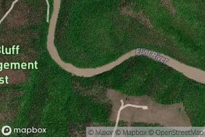 Hardy Branch
