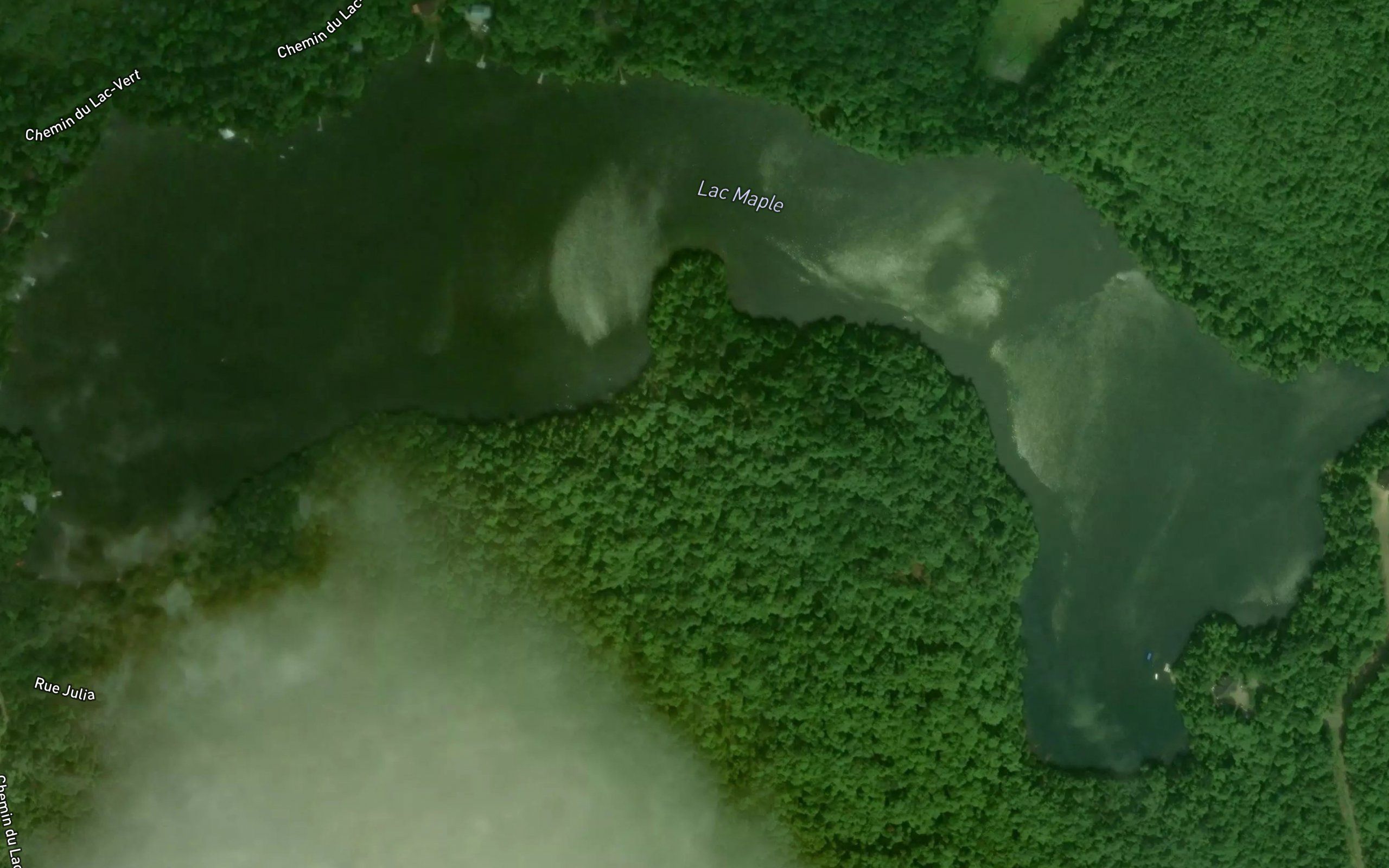 Lac Maple