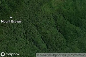 Glengarry Stream Left Branch