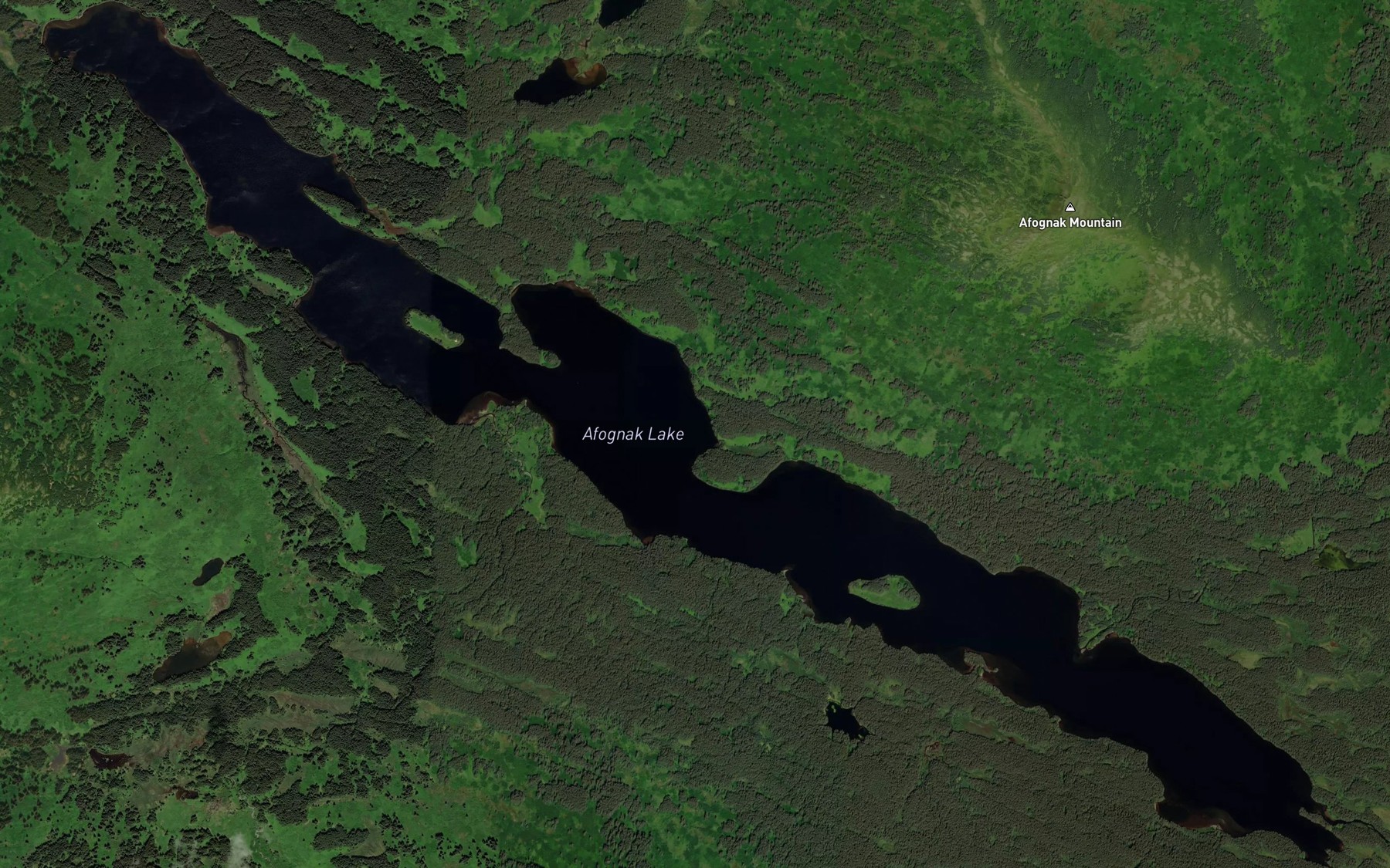 Satellite map of the Afognak Lake