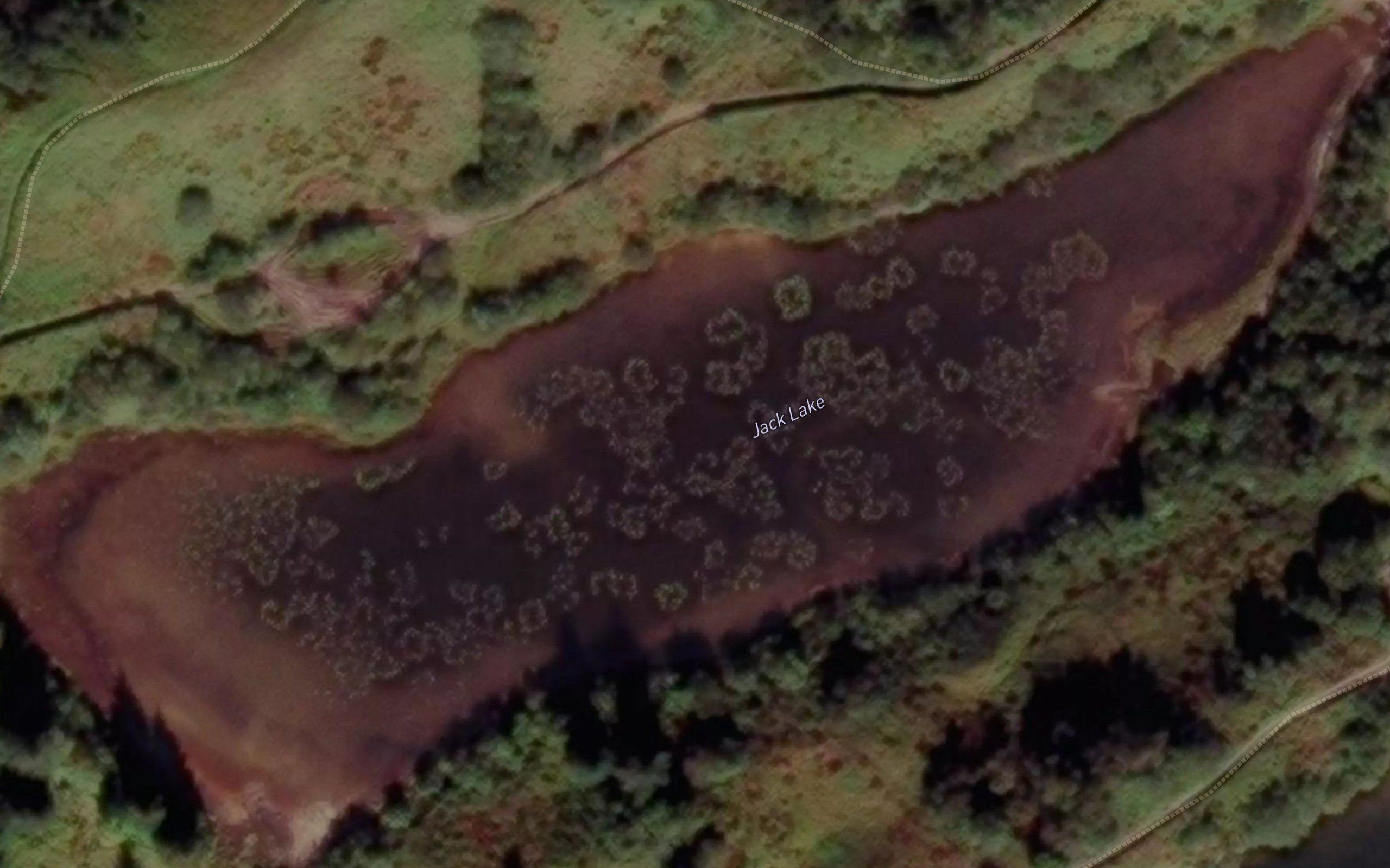 Jack Lake