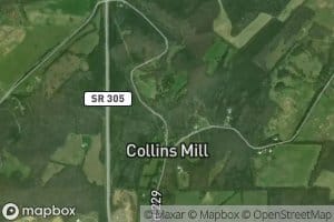 Collins Branch