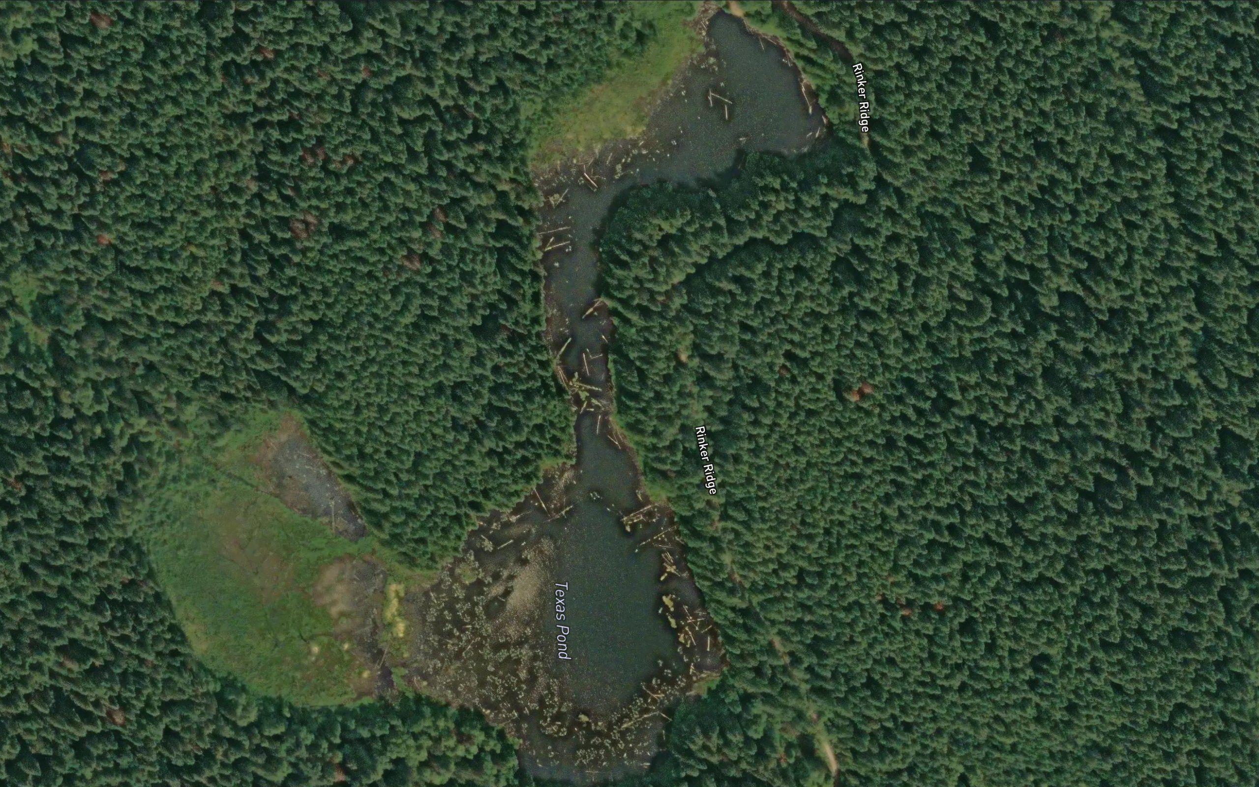 Texas Pond