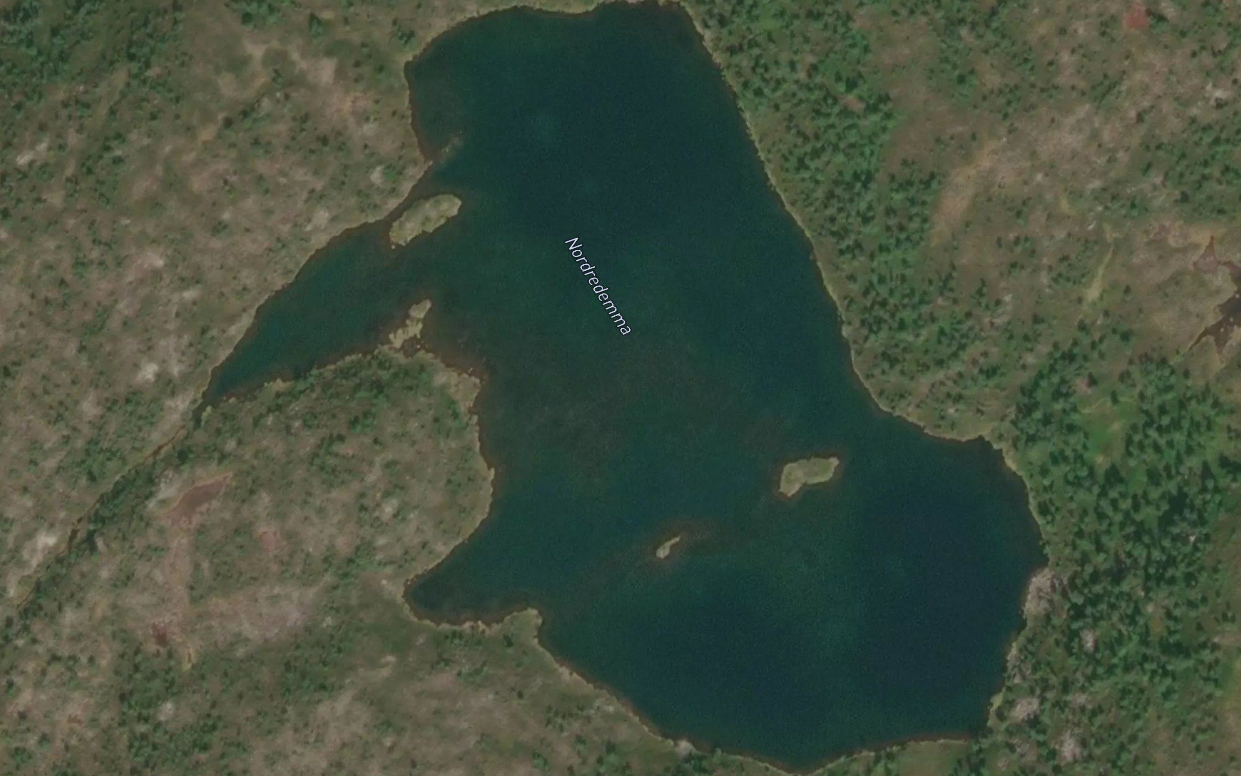 Nordredemma