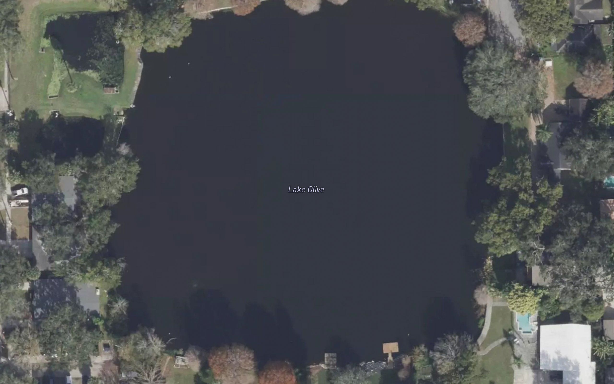 Lake Olive