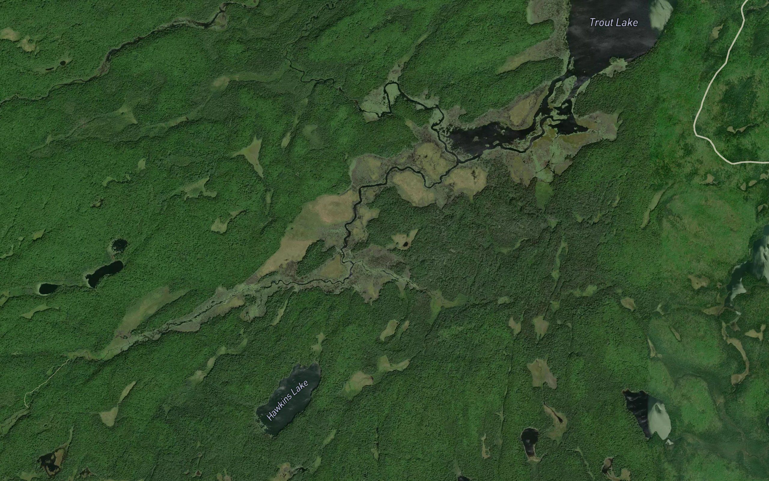 McIntosh Creek