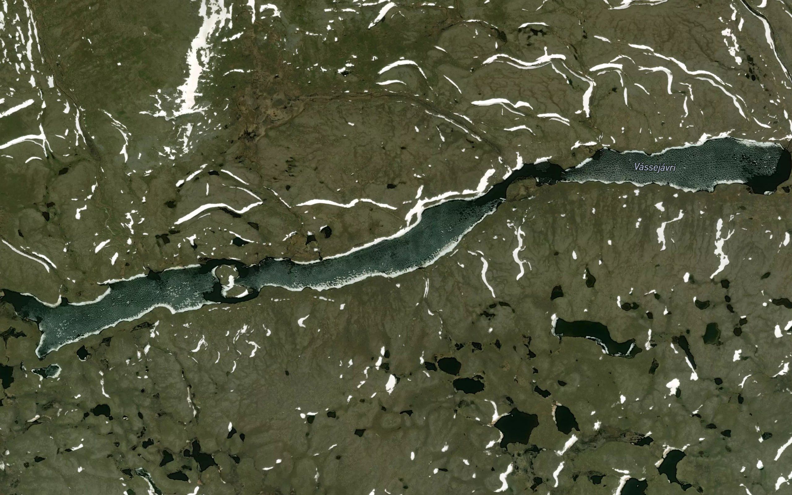 Vassejavri