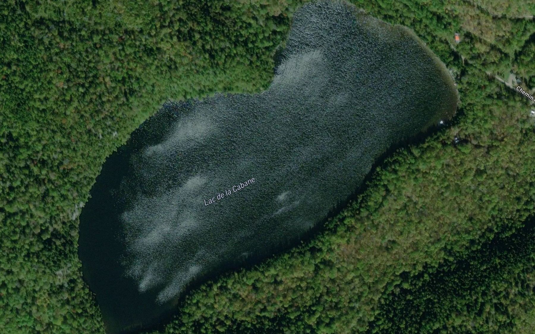Satellite map of the Lac de la Cabane