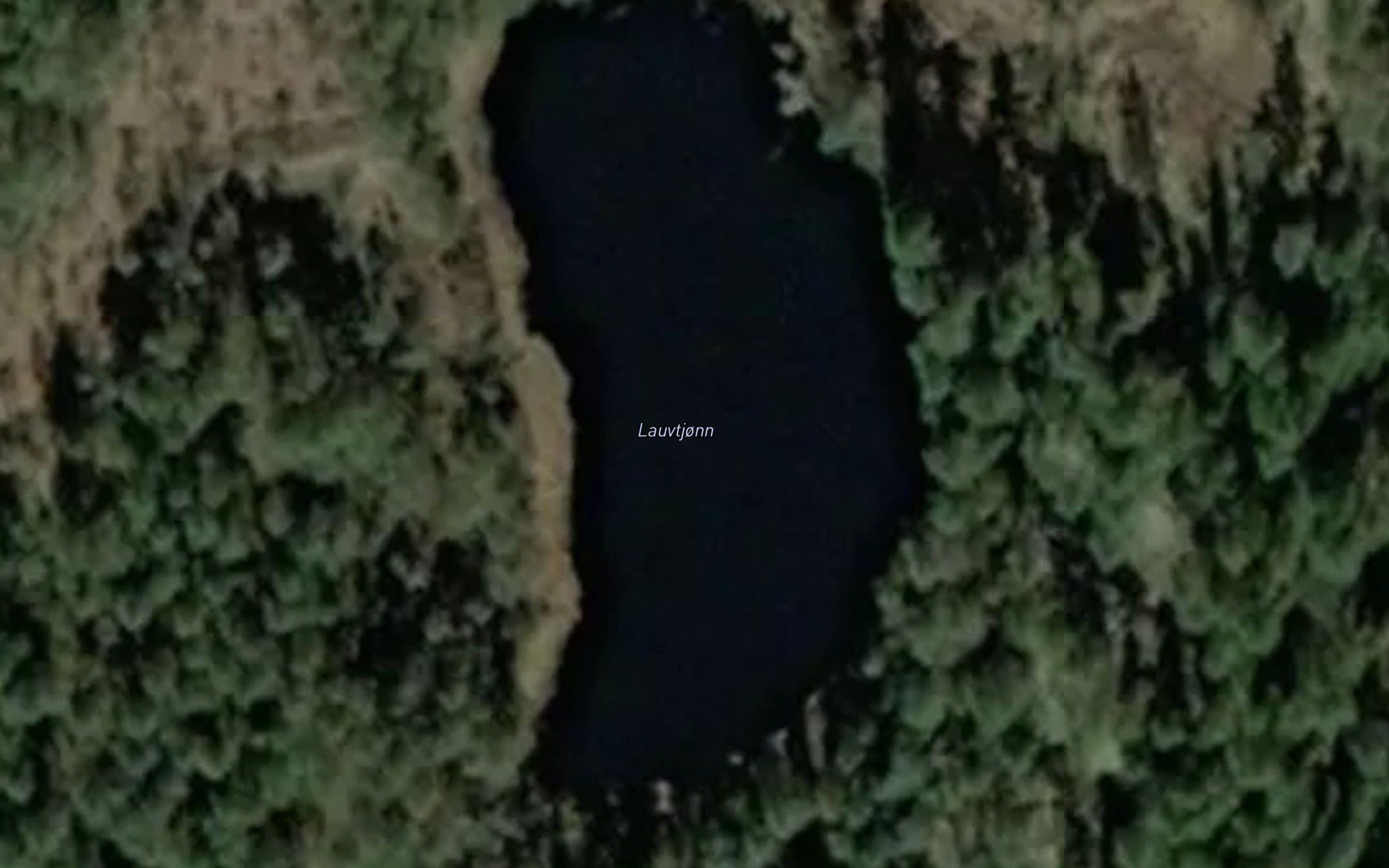Lauvtjorn