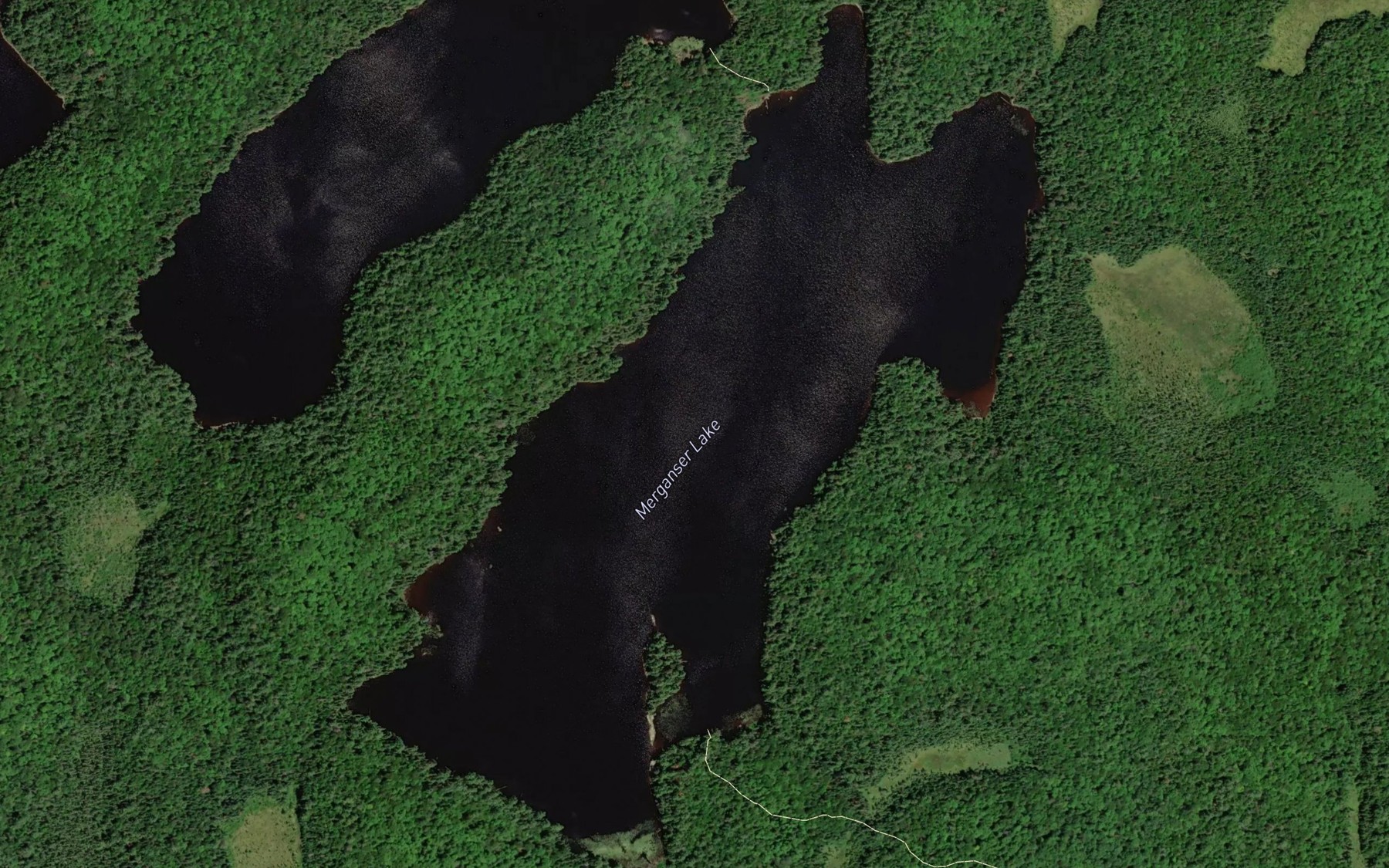 Satellite map of the Merganser Lake
