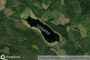 Untamo