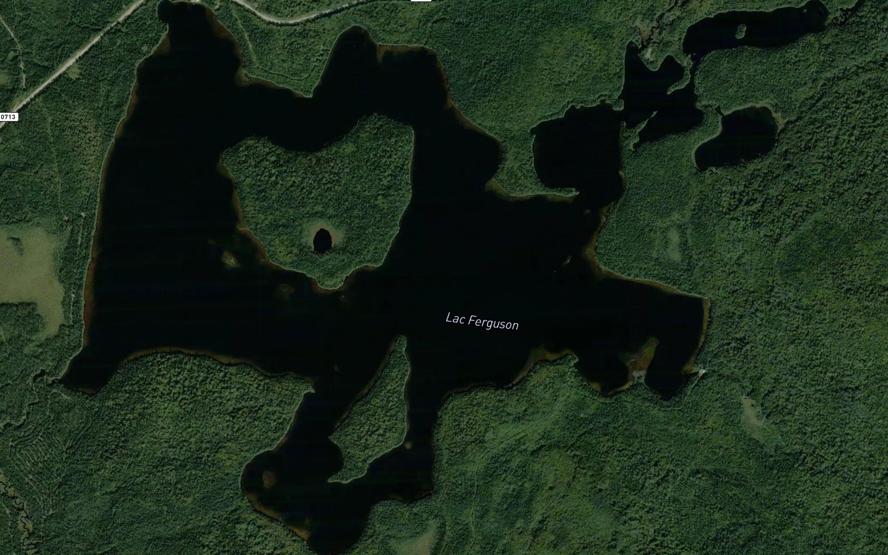 Satellite map of the Lac Ferguson