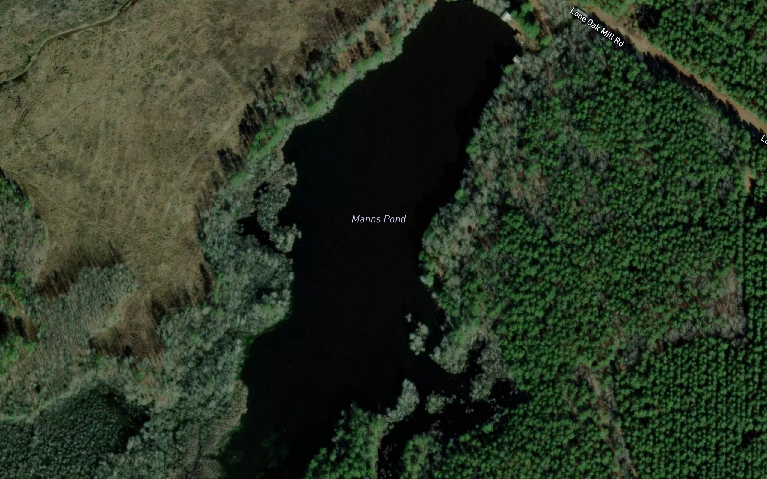 Manns Pond