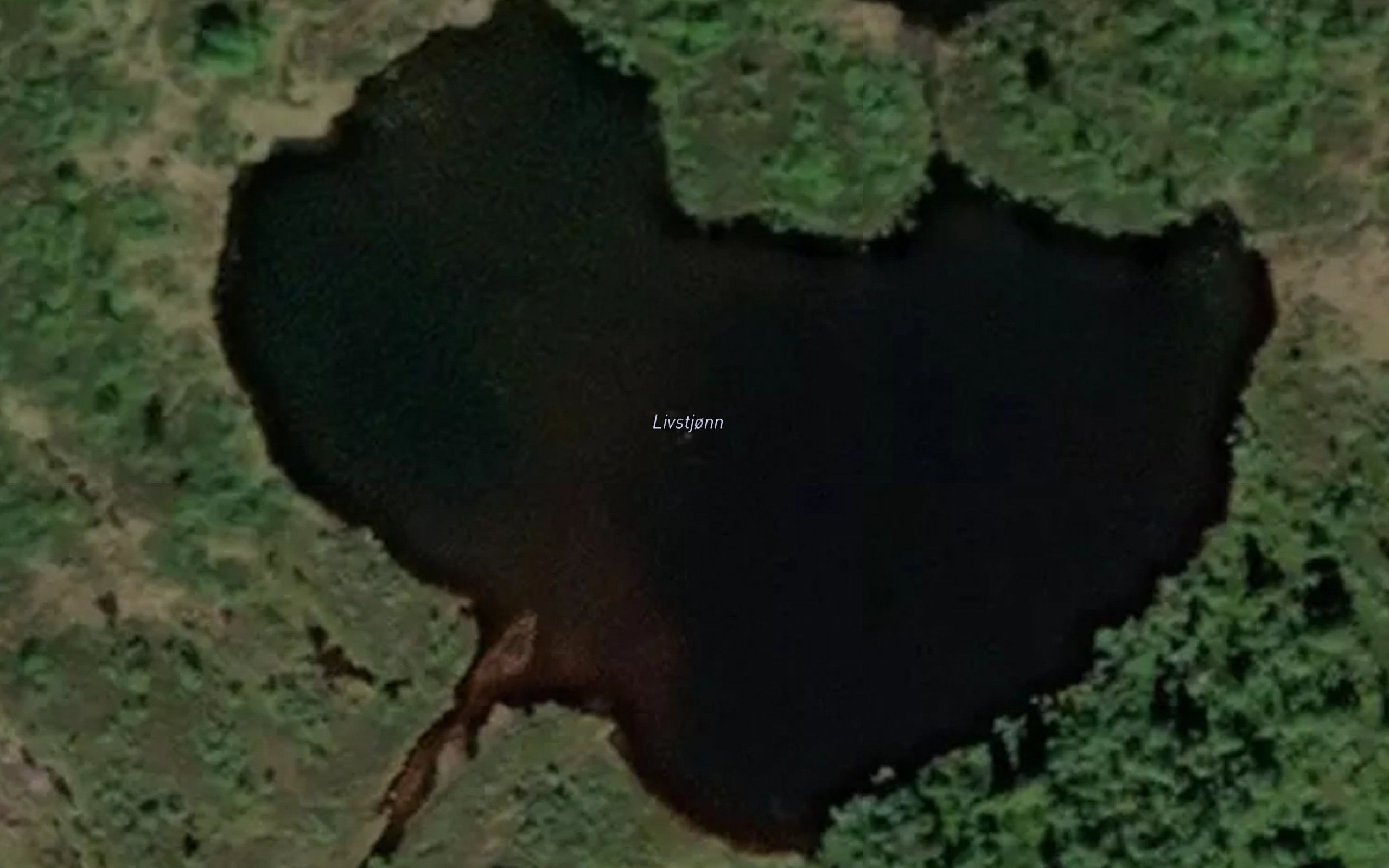 Livstjorn