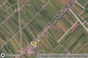 Tali Air Semut Gatal