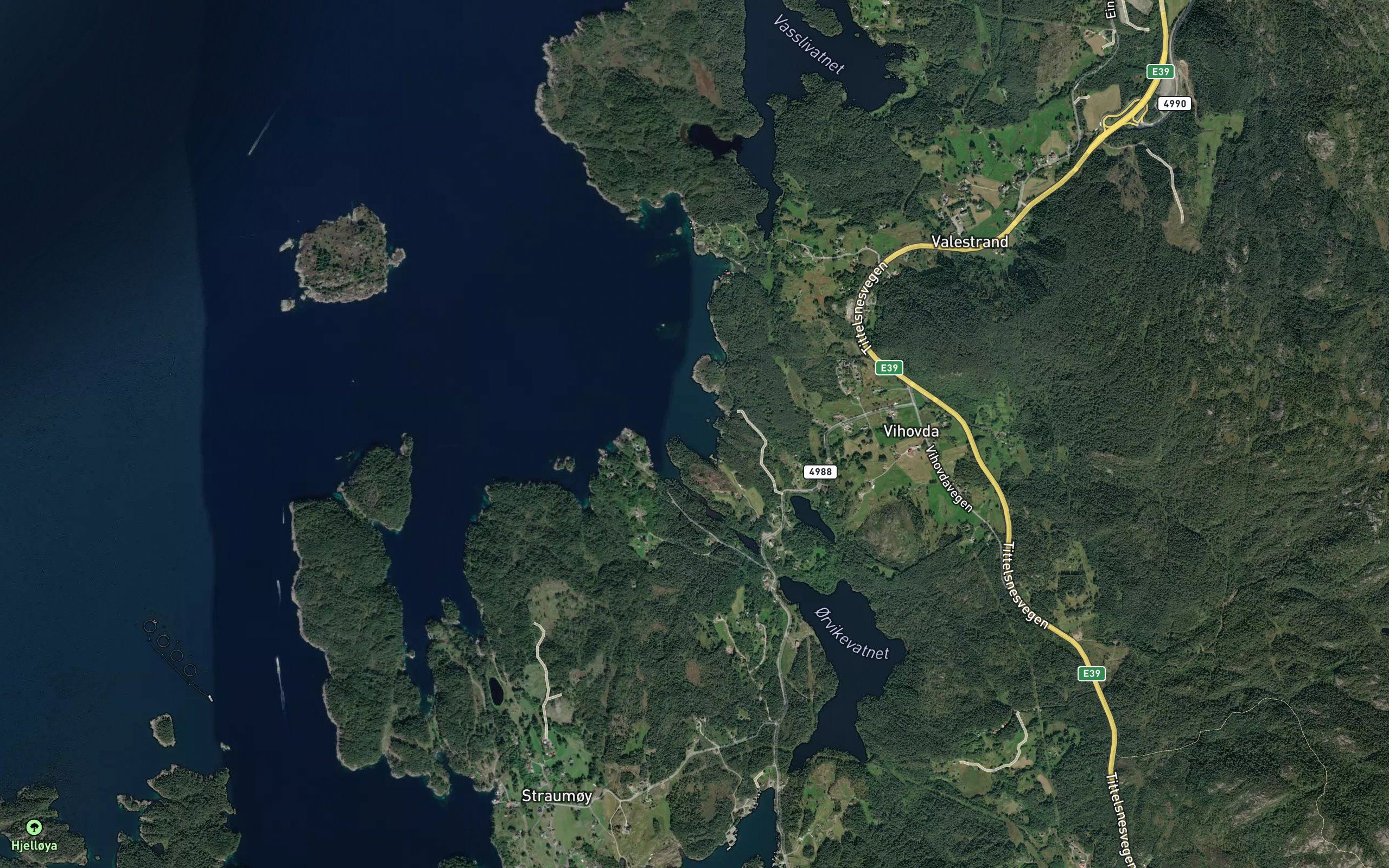 Gronevik