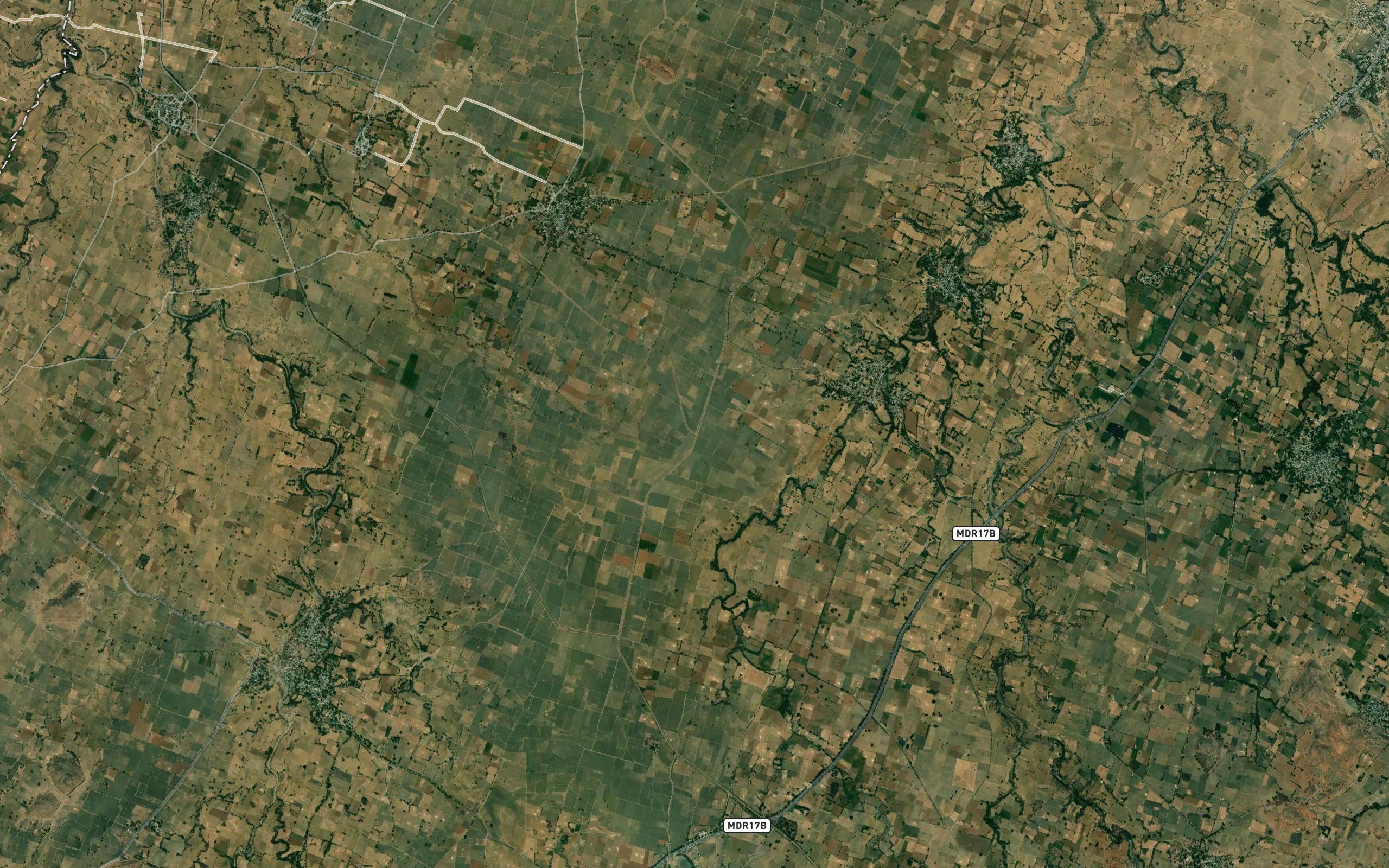 Basria Minor
