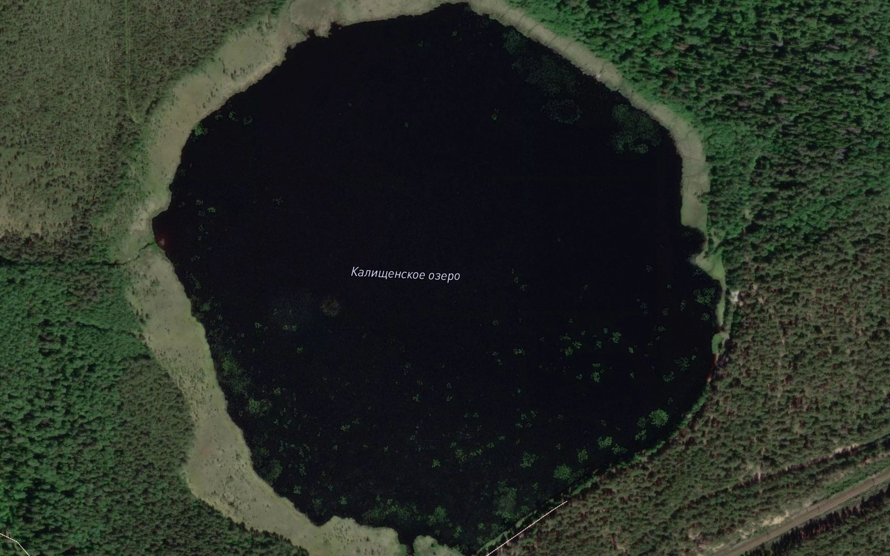 Satellite map of the Ozero Kalishchinskoye