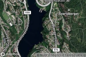 Lauvvika