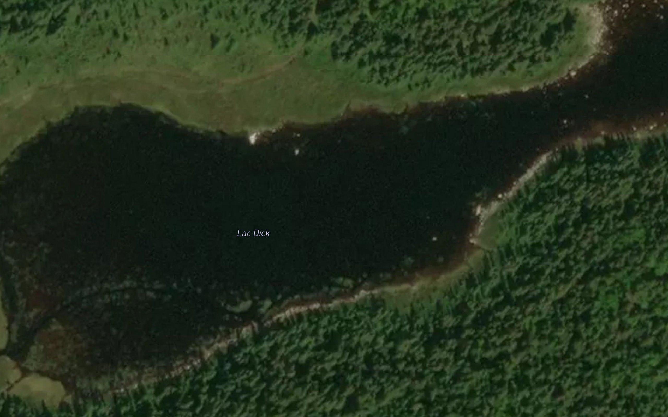 Lac Dick