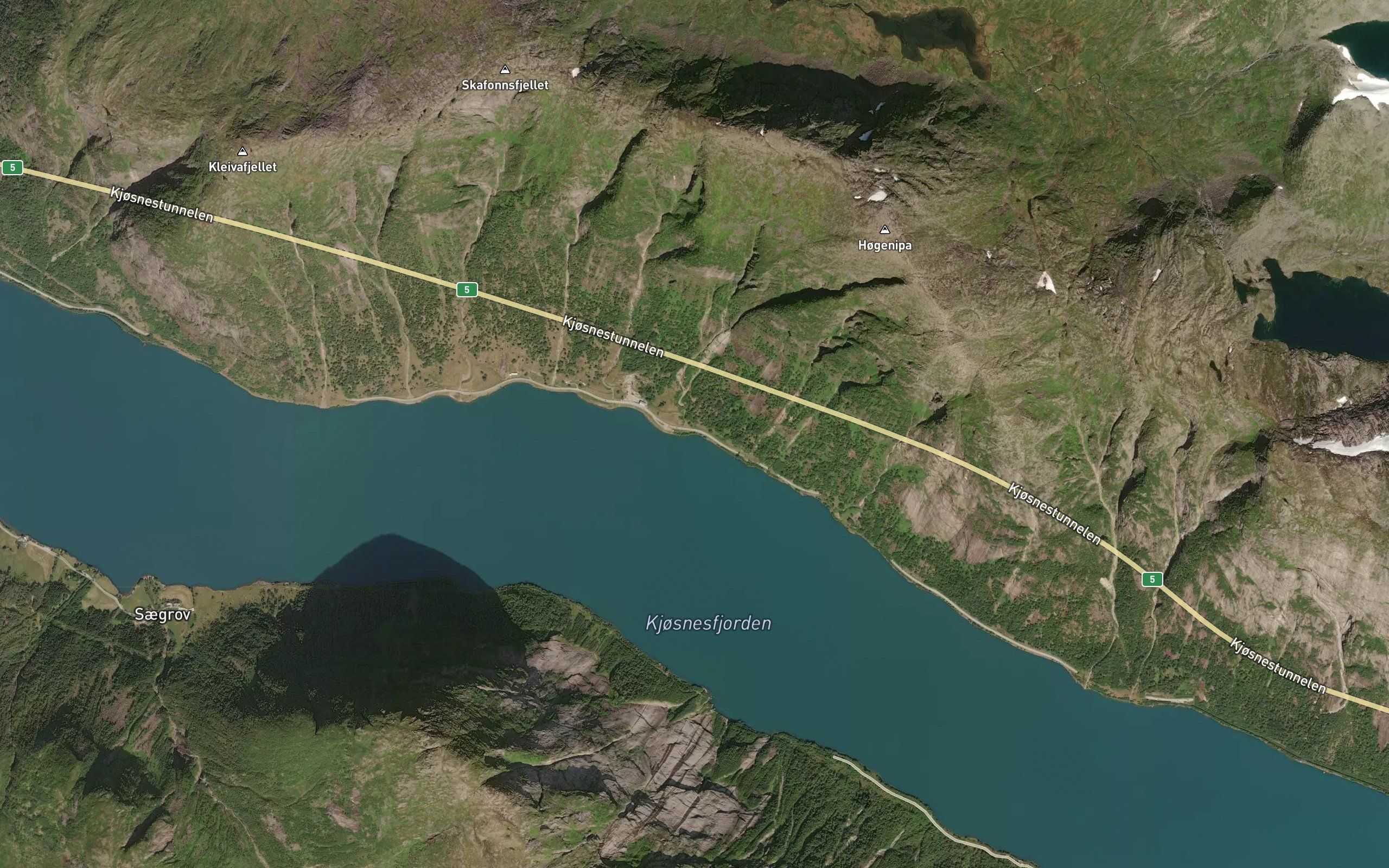 Svovika