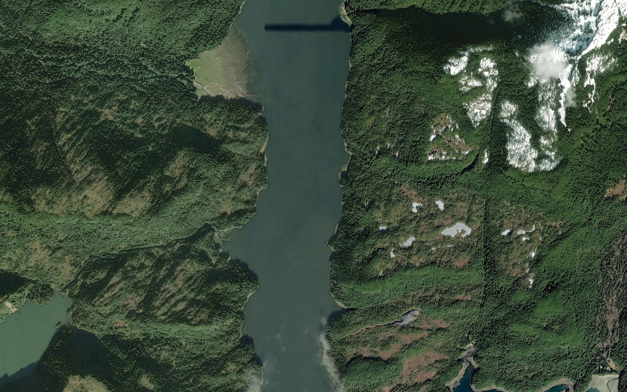 Eliza Harbor
