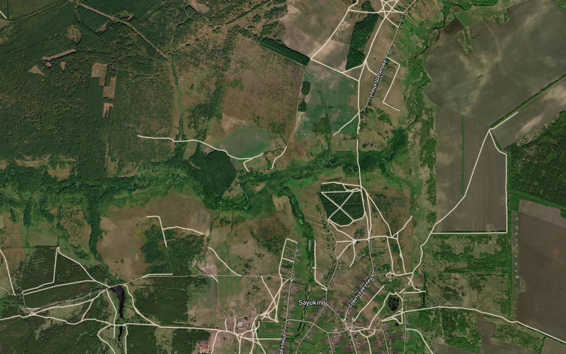 Satellite map of the Blizhnyaya Kersha