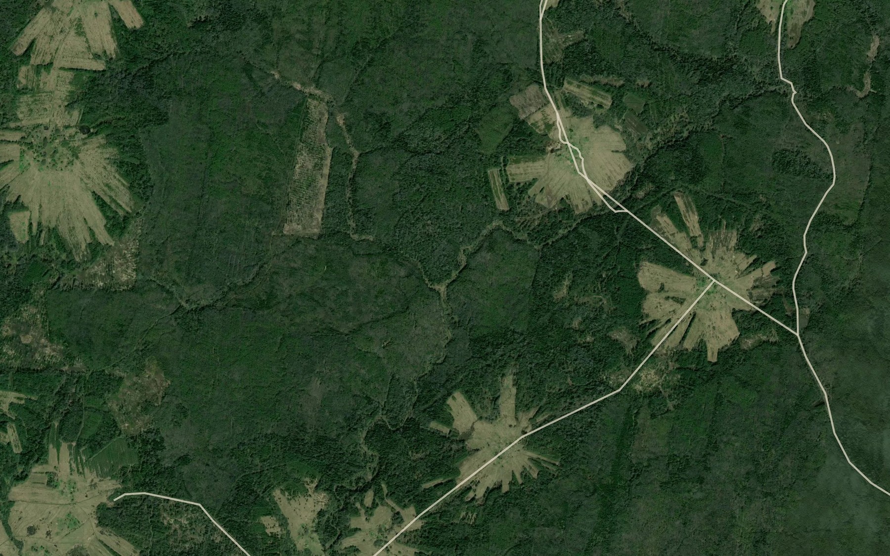 Satellite map of the Kamenka