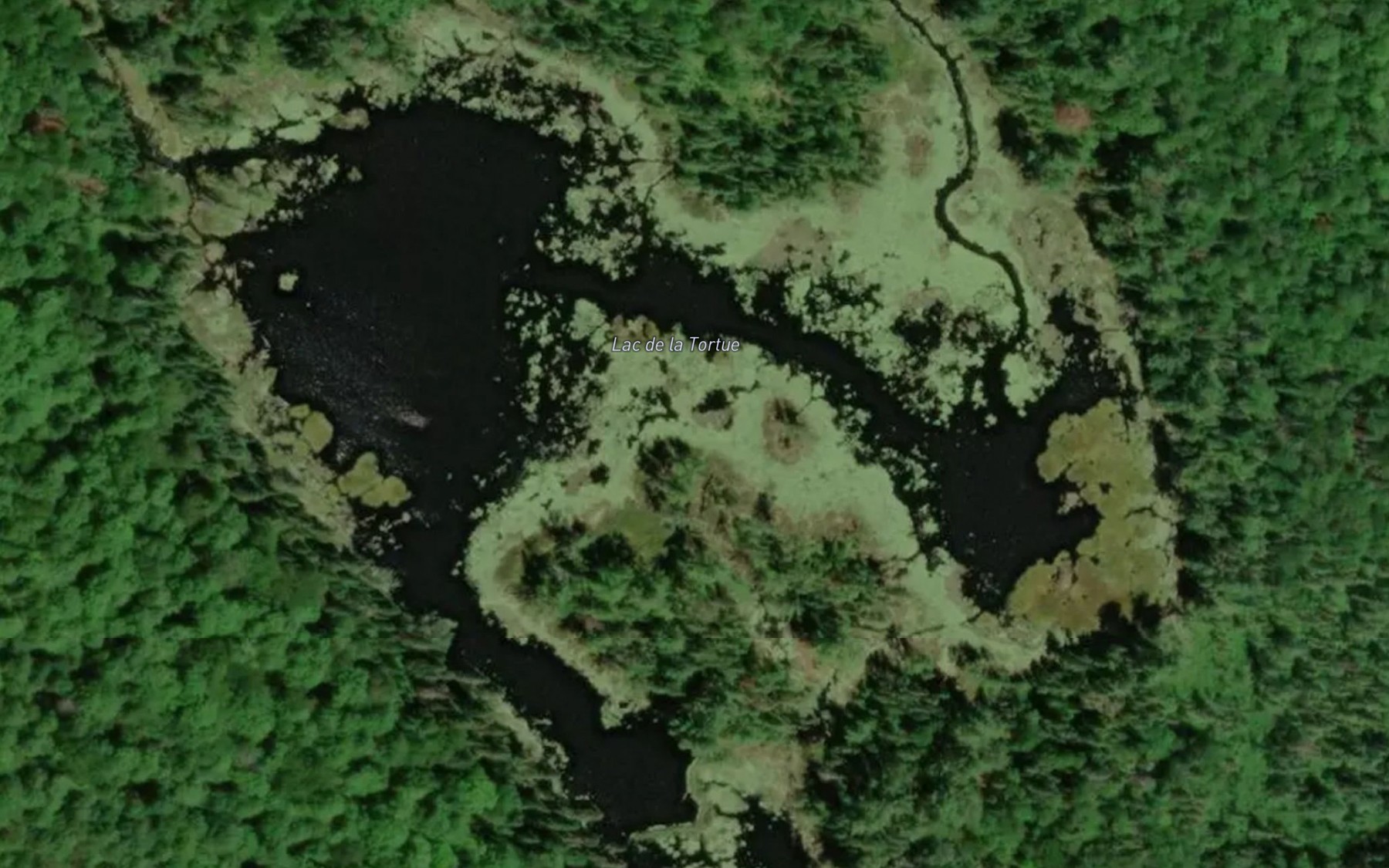 Satellite map of the Lac de la Tortue