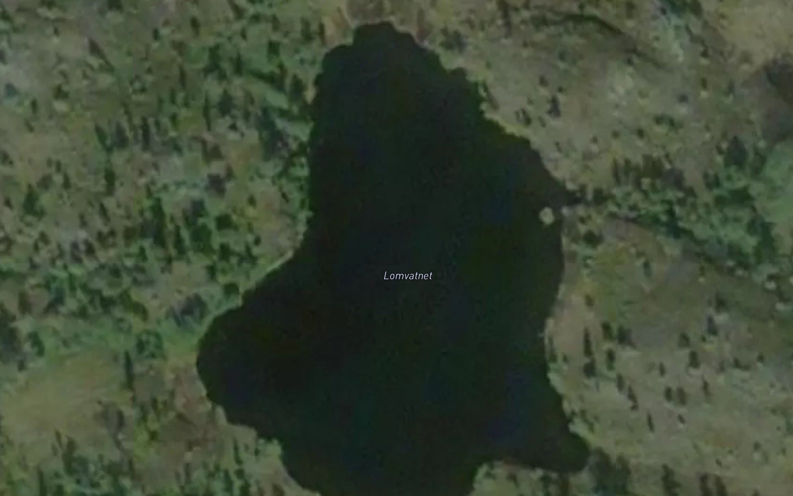 Lomvatnet