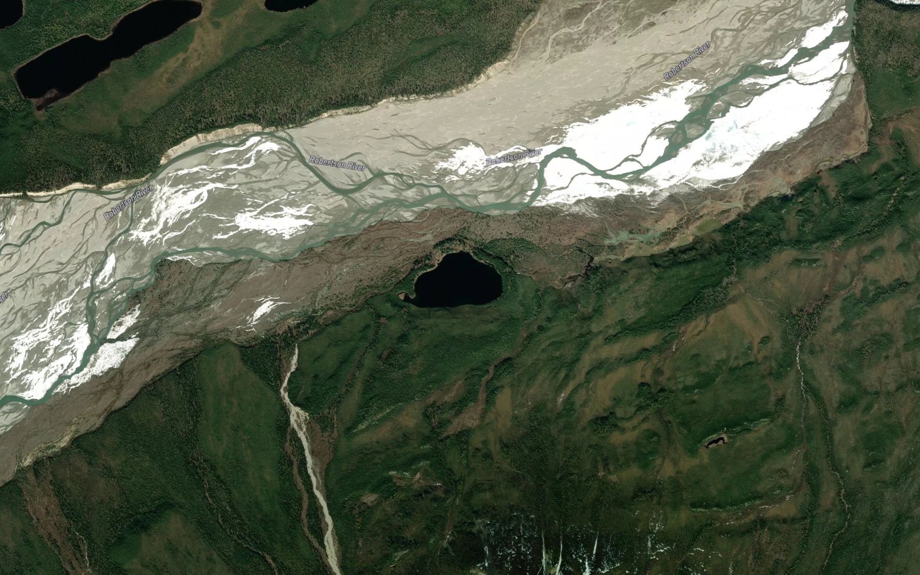 Satellite map of the Forest Lake