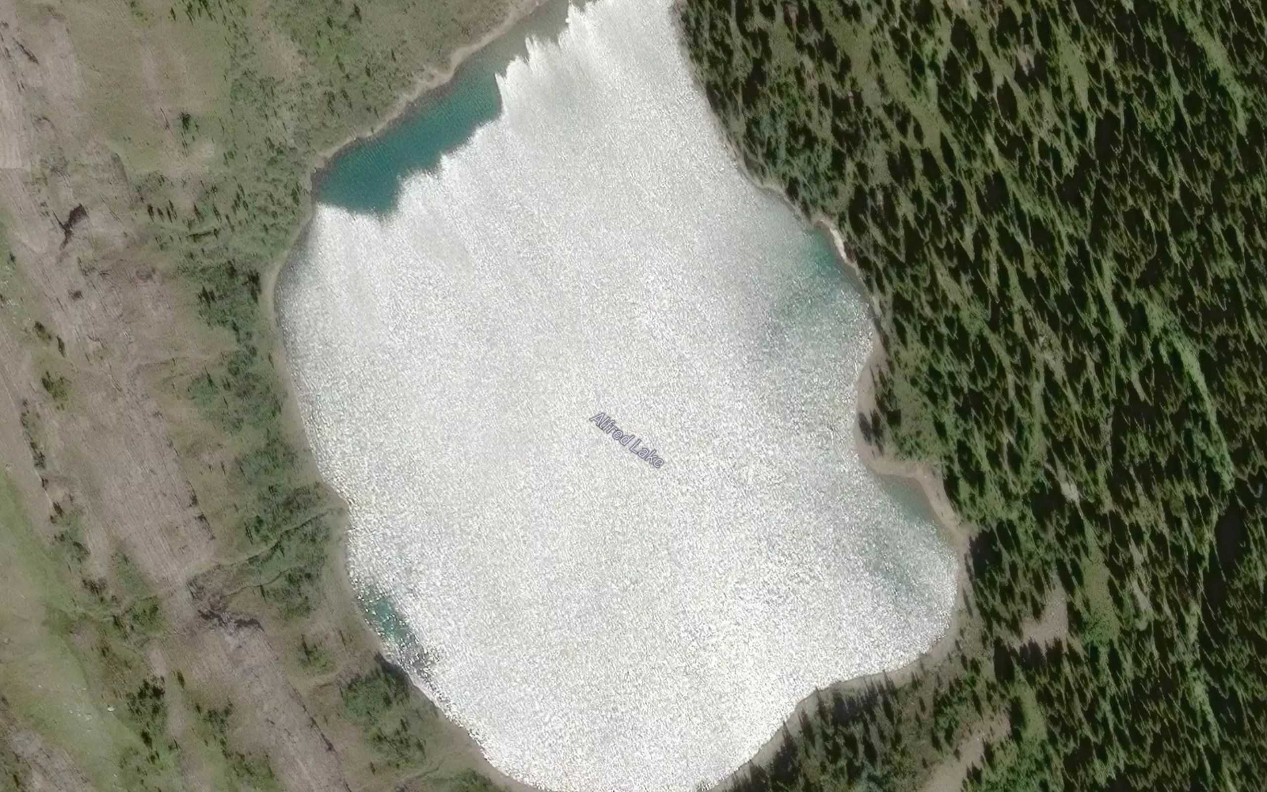 Alfred Lake