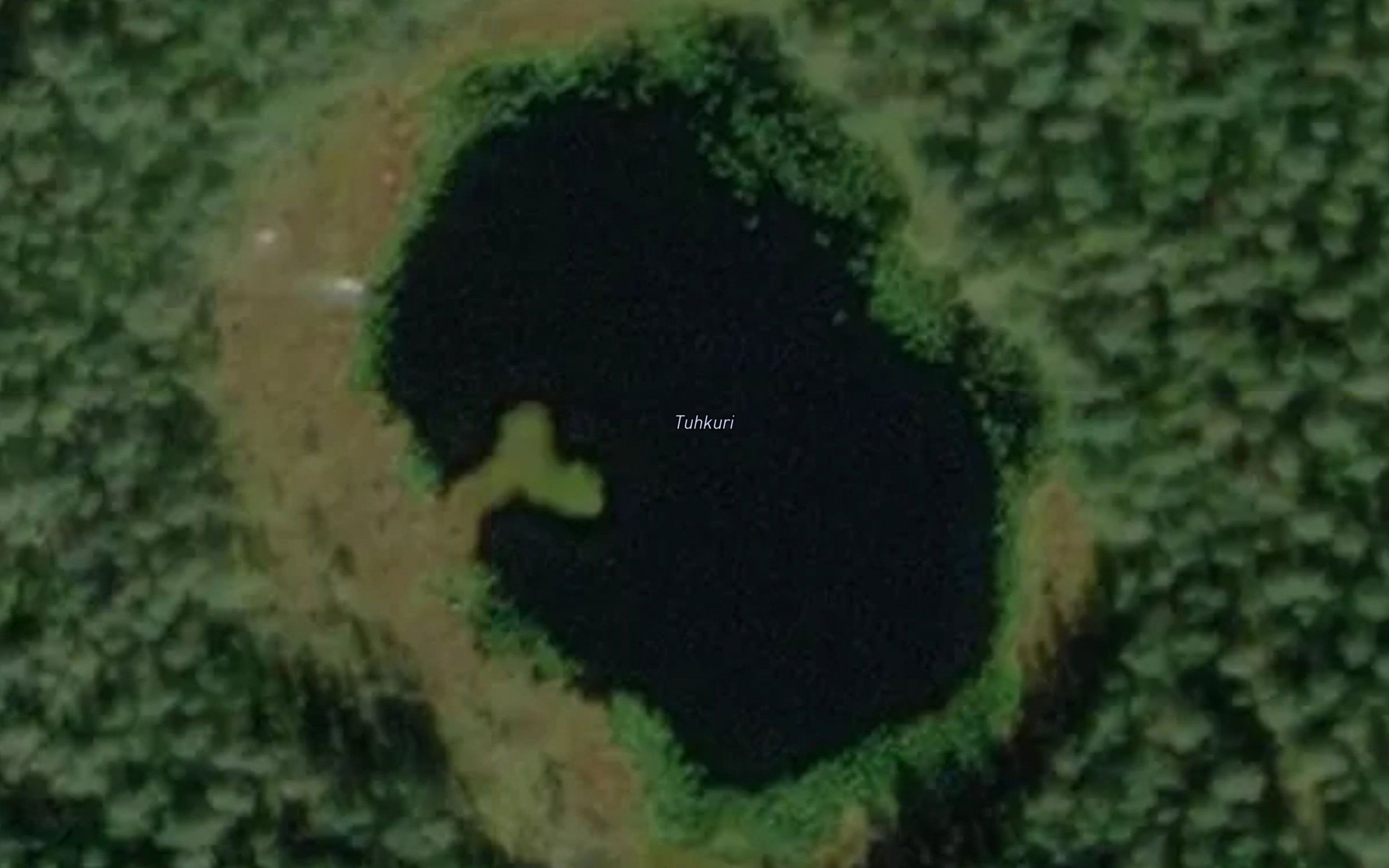 Tuhkuri