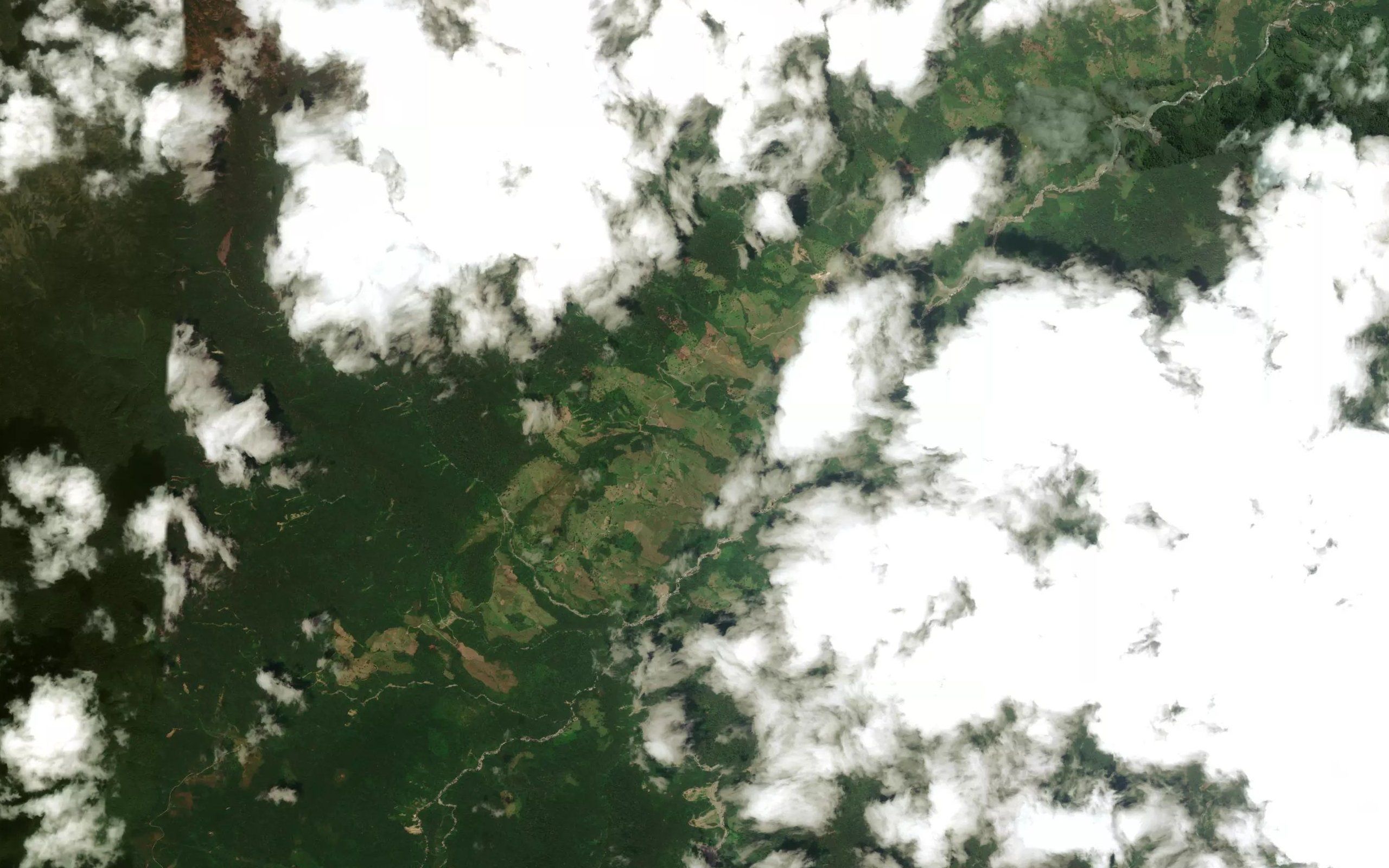 Quebrada Espumosa